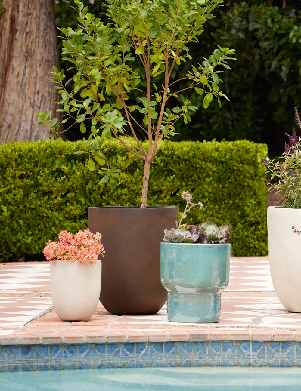 Bradford Planters by Campania International 8 Bradford Planters by Campania International