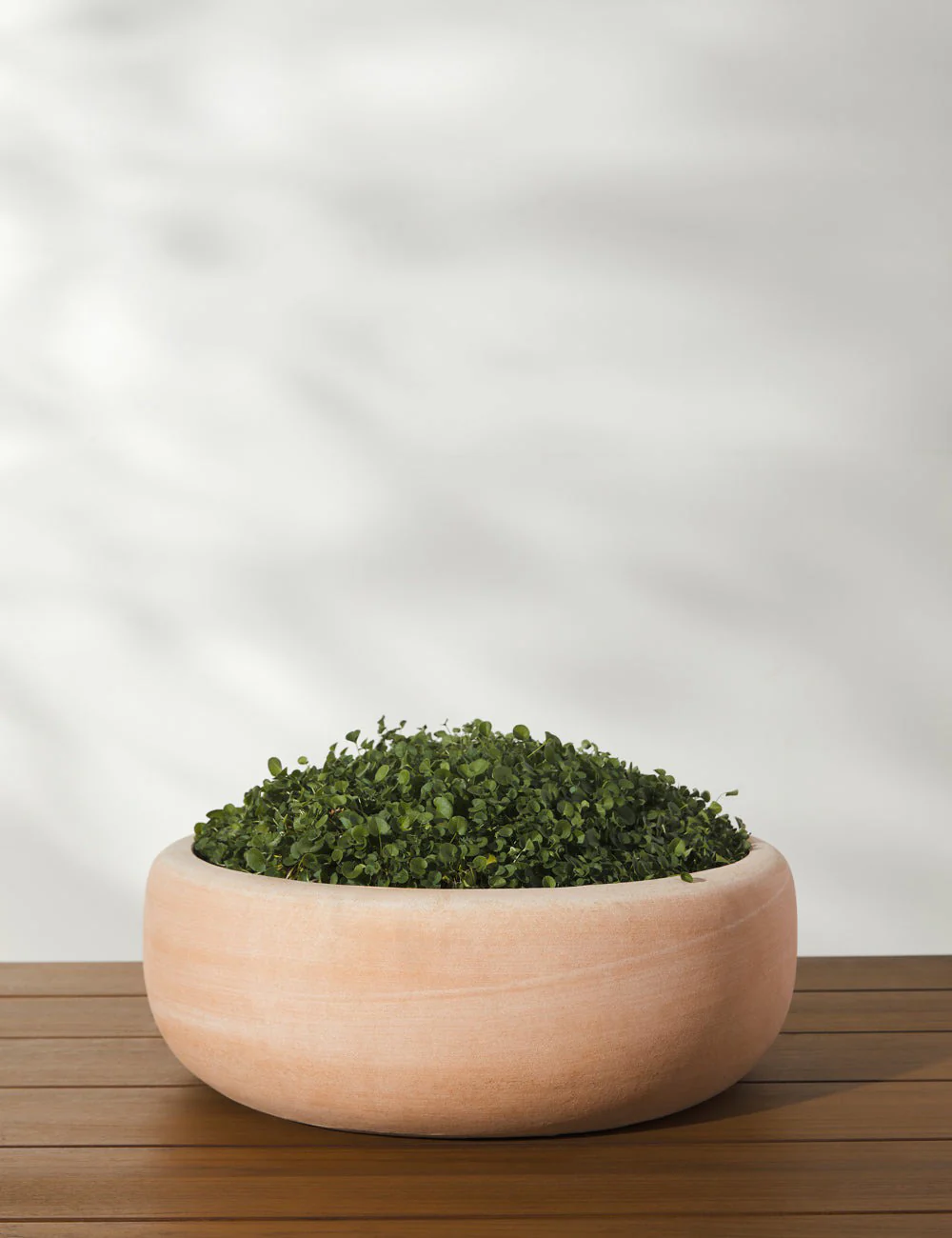 Annalise Planter (Set of 2) by Campania International 3 Annalise Planter (Set of 2) by Campania International