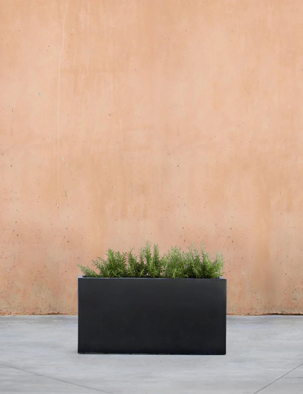 Metro Box Planters by Campania International