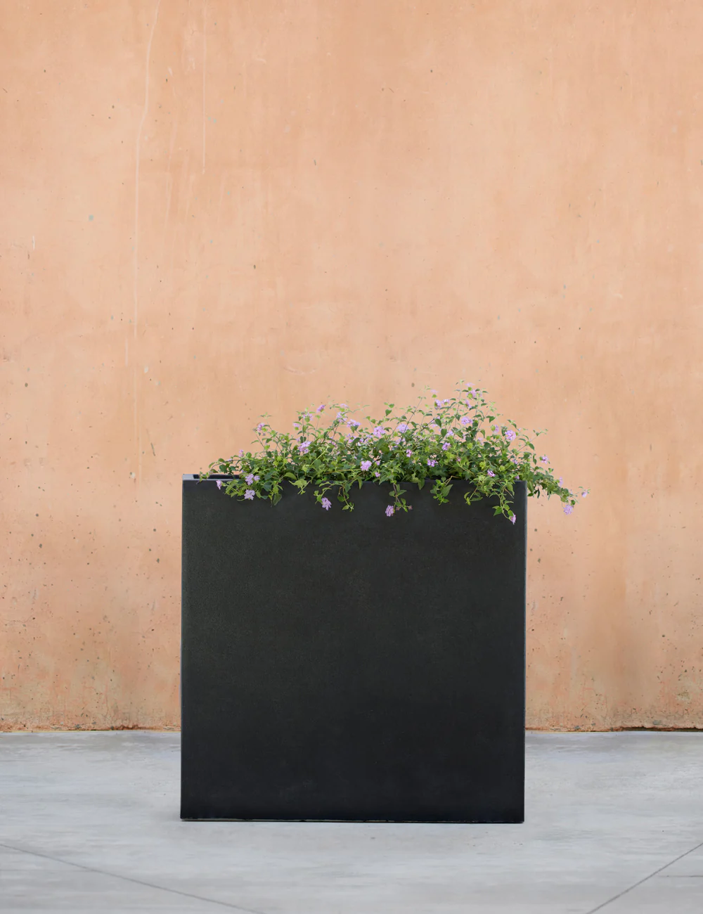 Metro Box Planters by Campania International