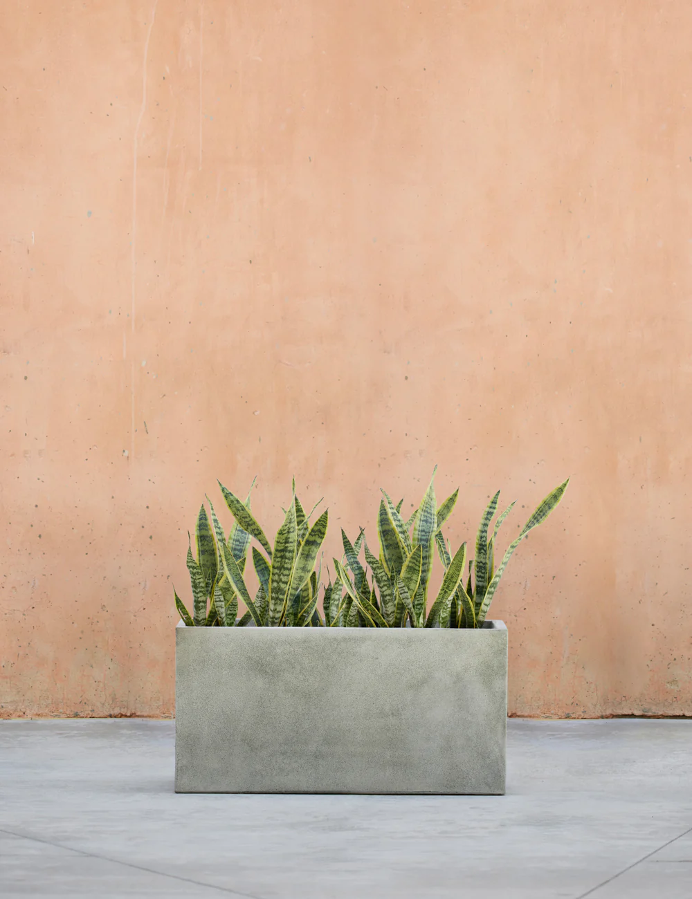 Metro Box Planters by Campania International