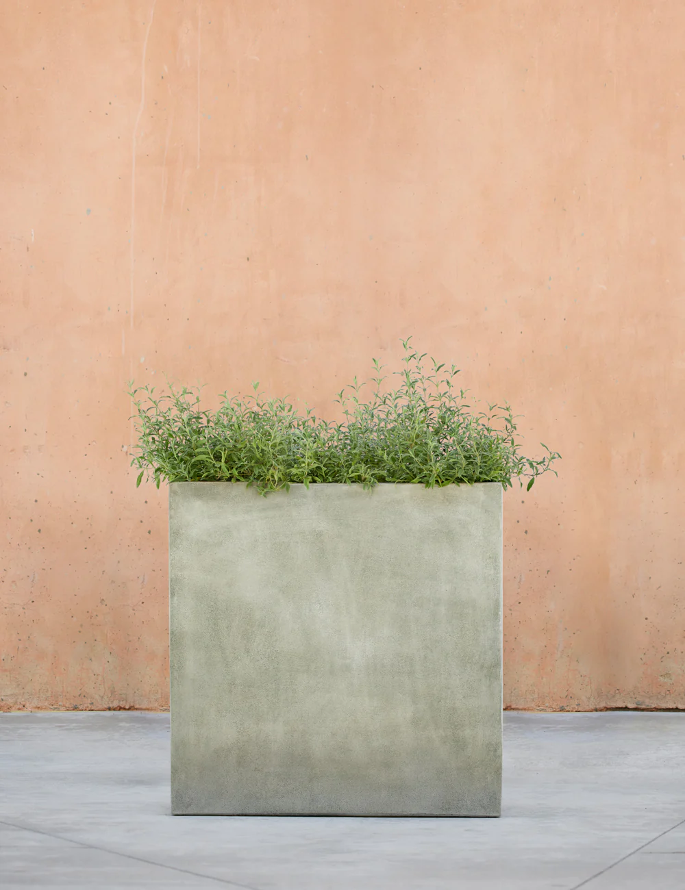 Metro Box Planters by Campania International