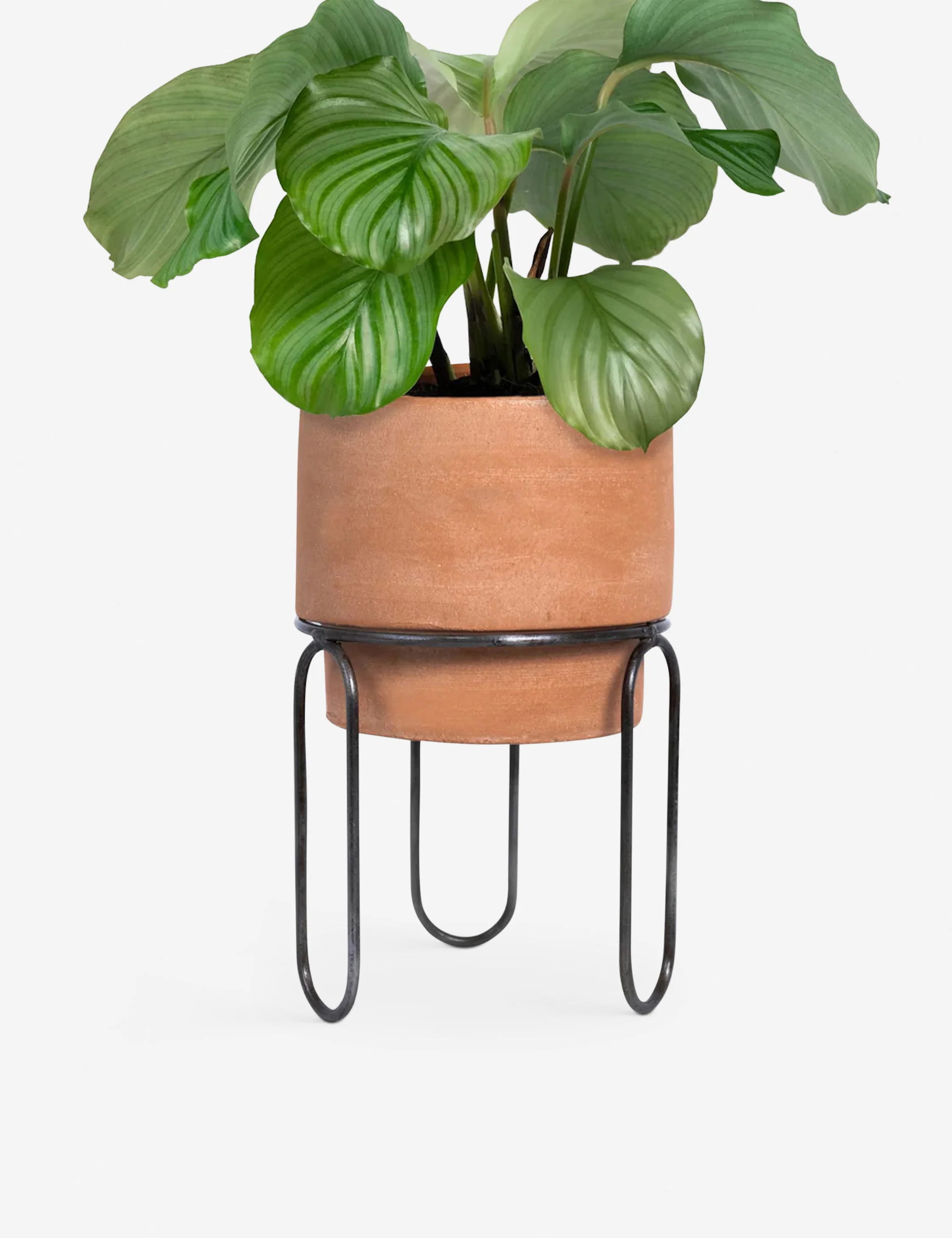 Jaro Terracotta Planter Pot by Meso
