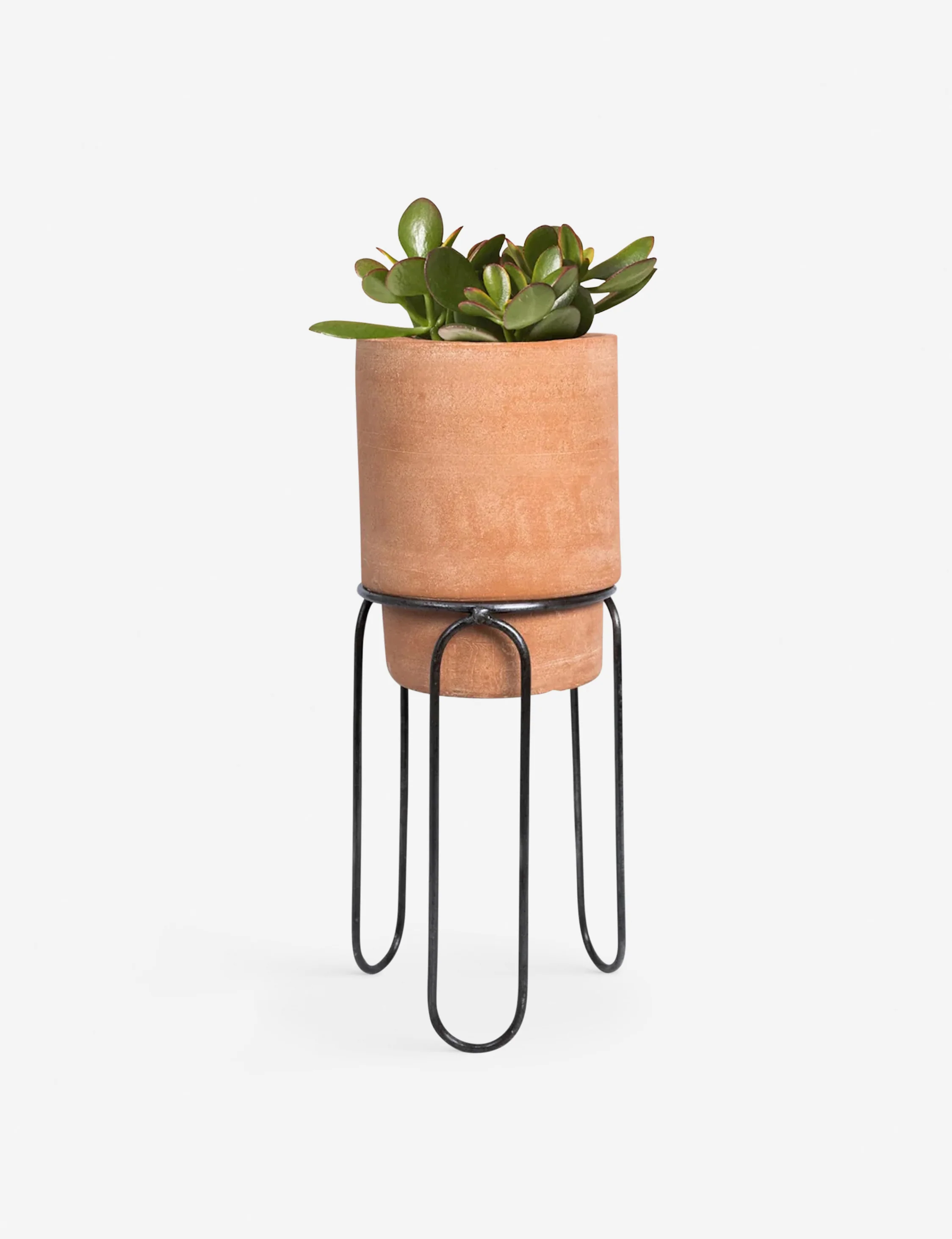 Jaro Terracotta Planter Pot by Meso