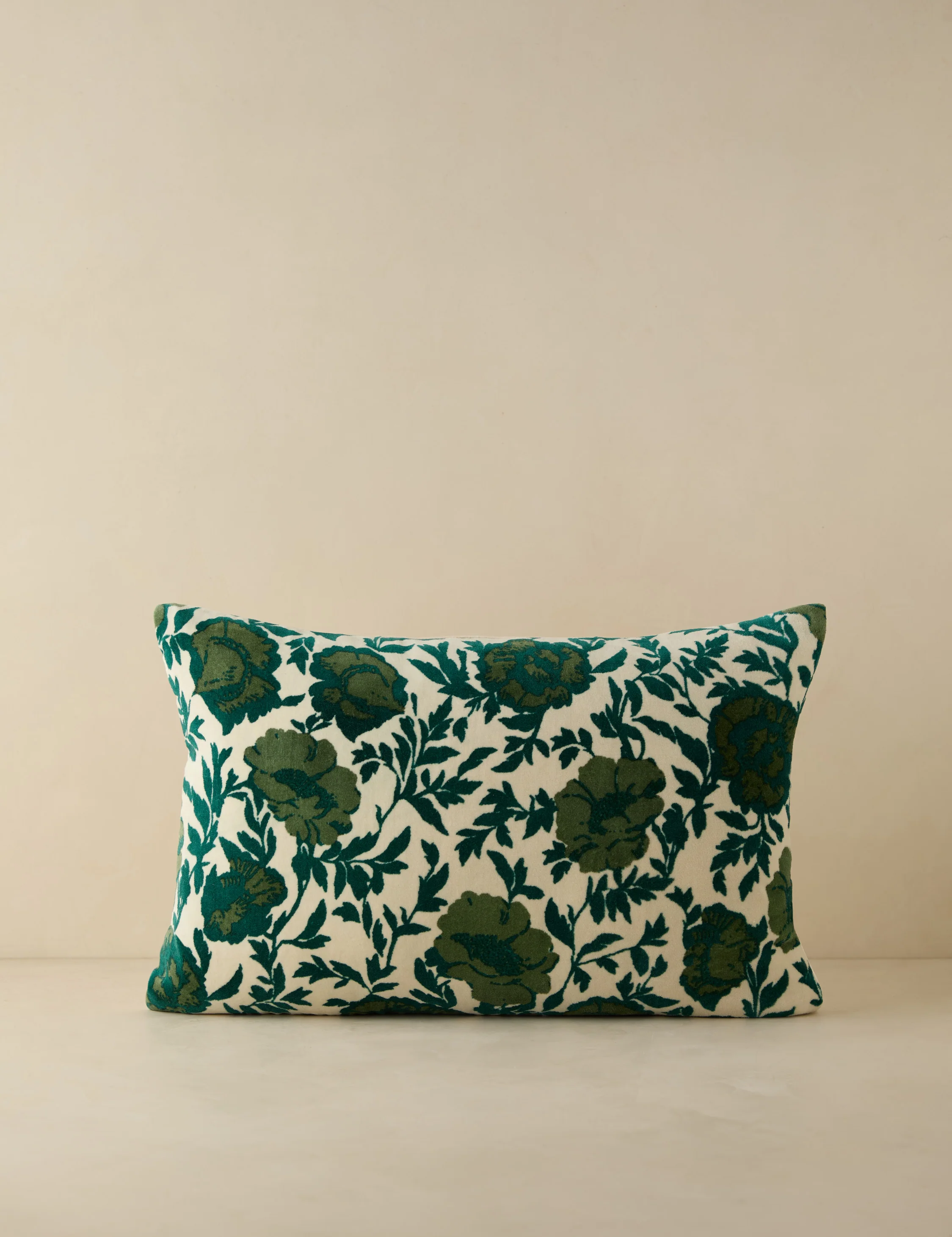 Corabel Velvet Pillow