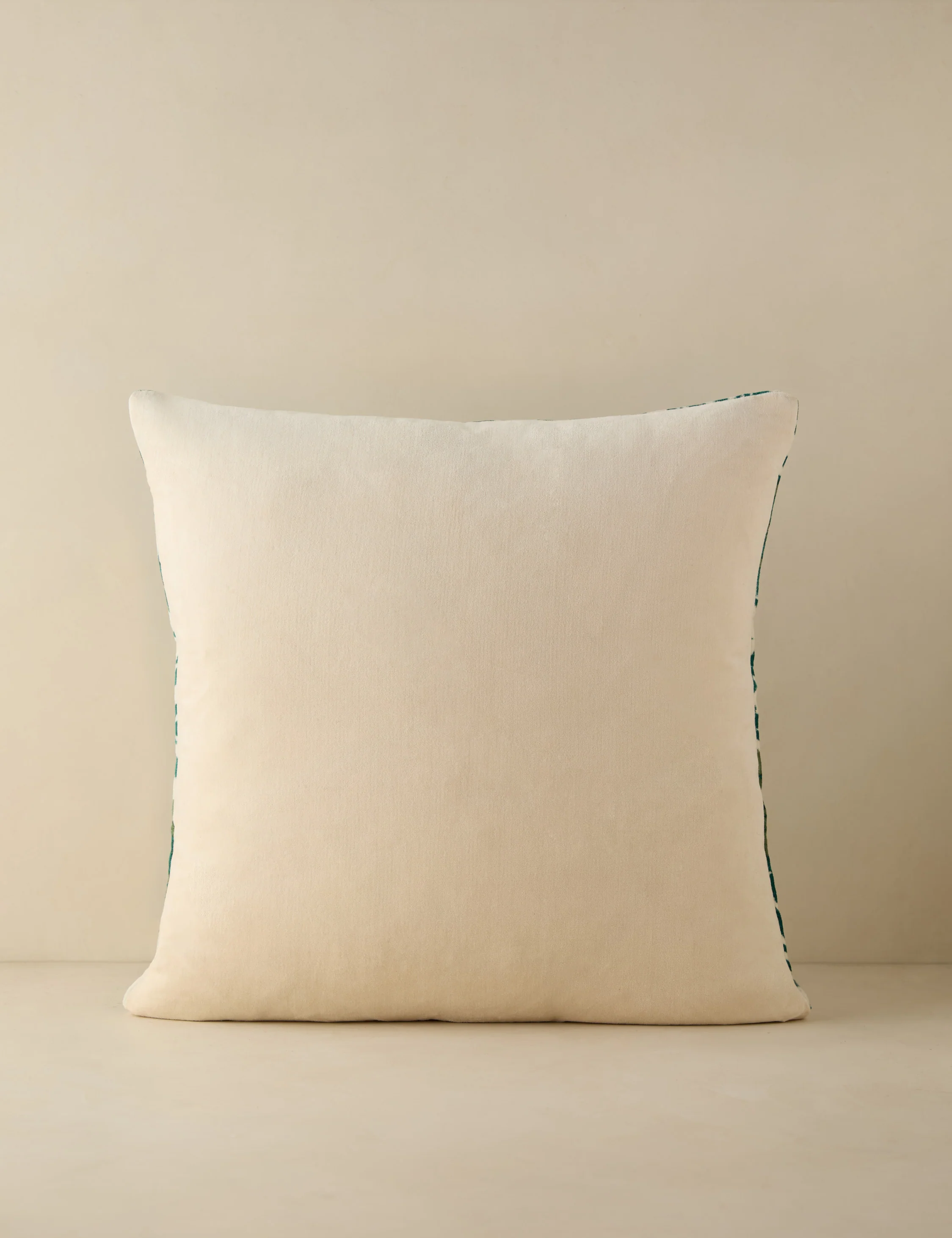 Corabel Velvet Pillow