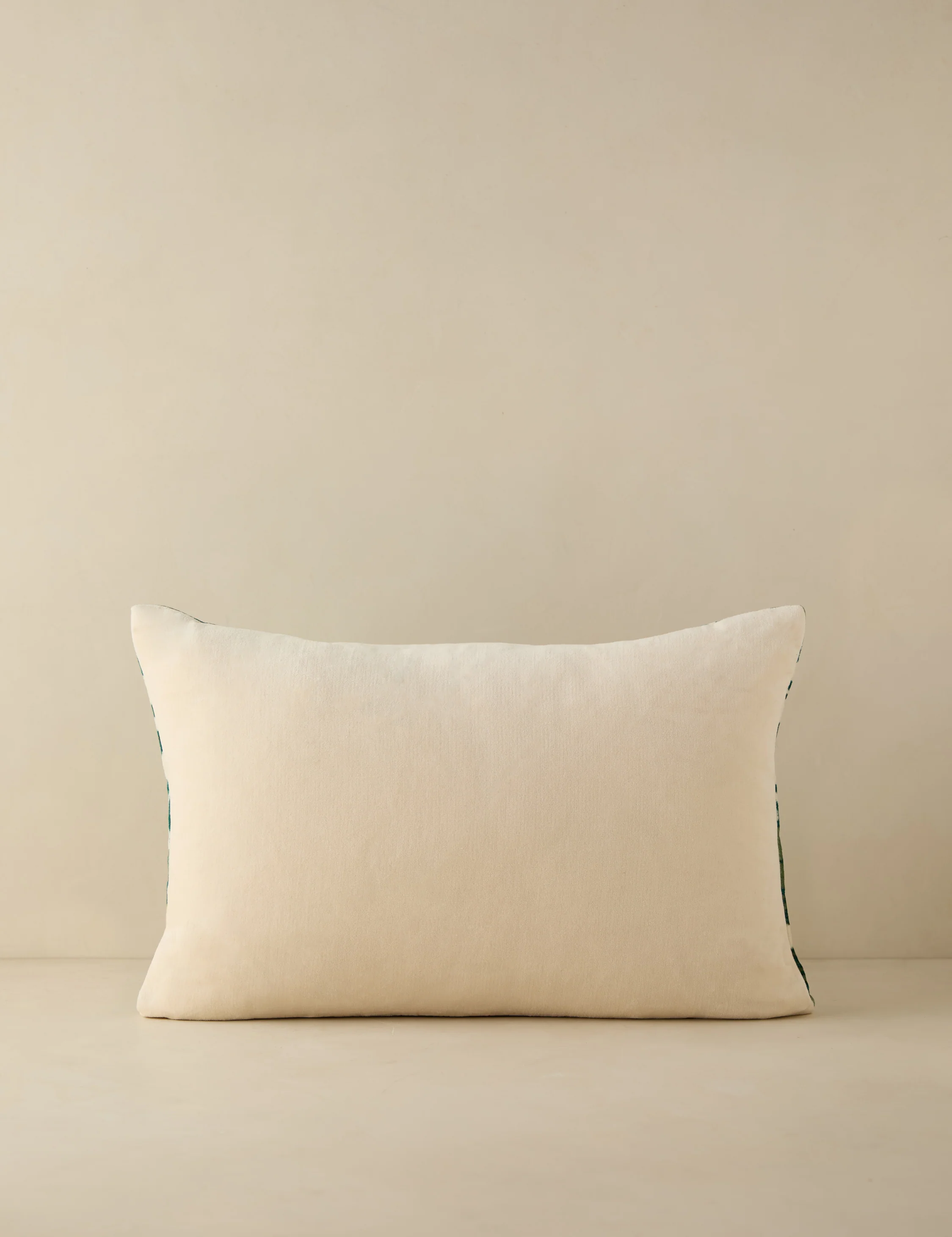 Corabel Velvet Pillow