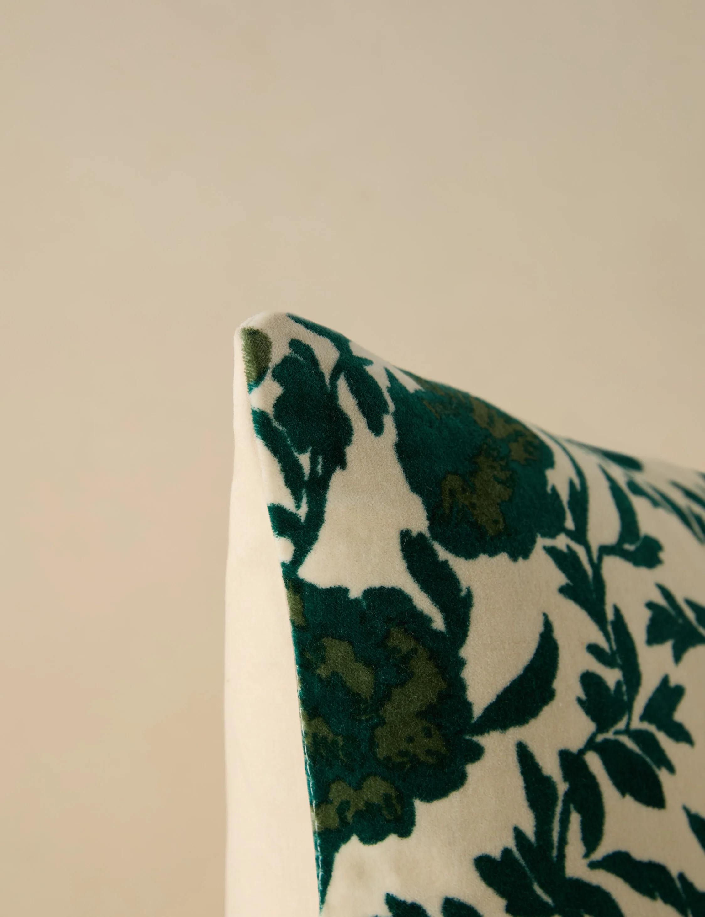 Corabel Velvet Pillow