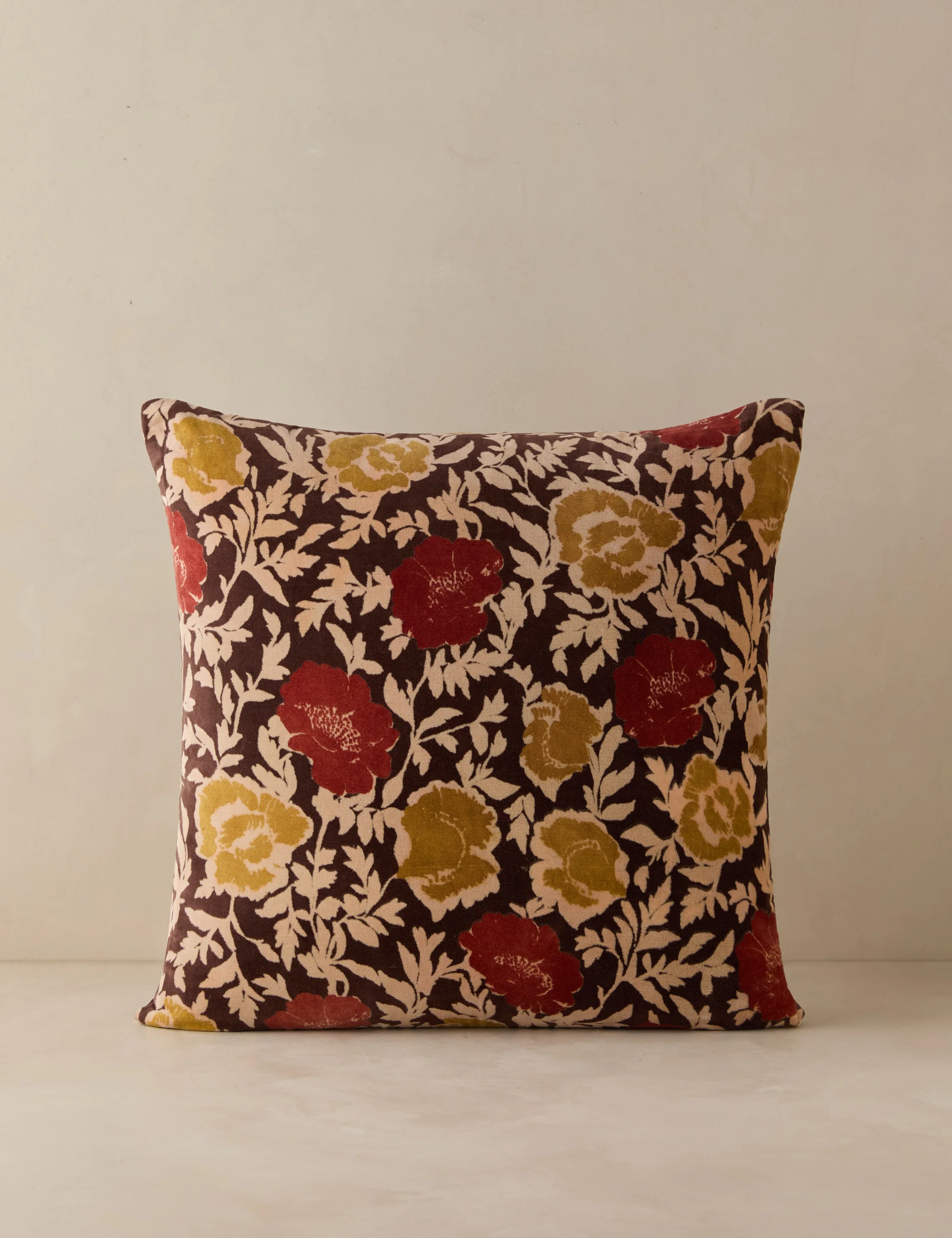 Corabel Velvet Pillow