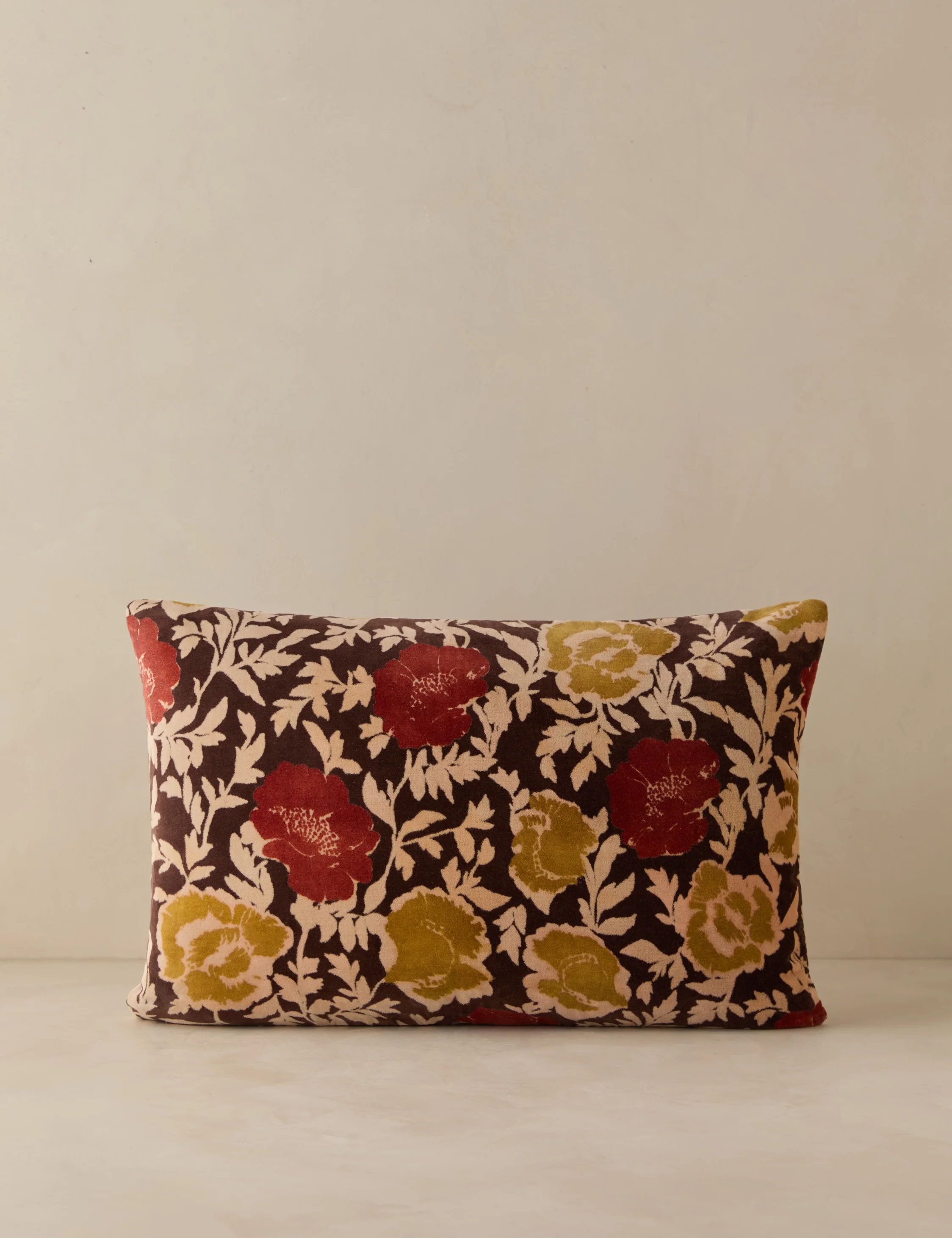 Corabel Velvet Pillow