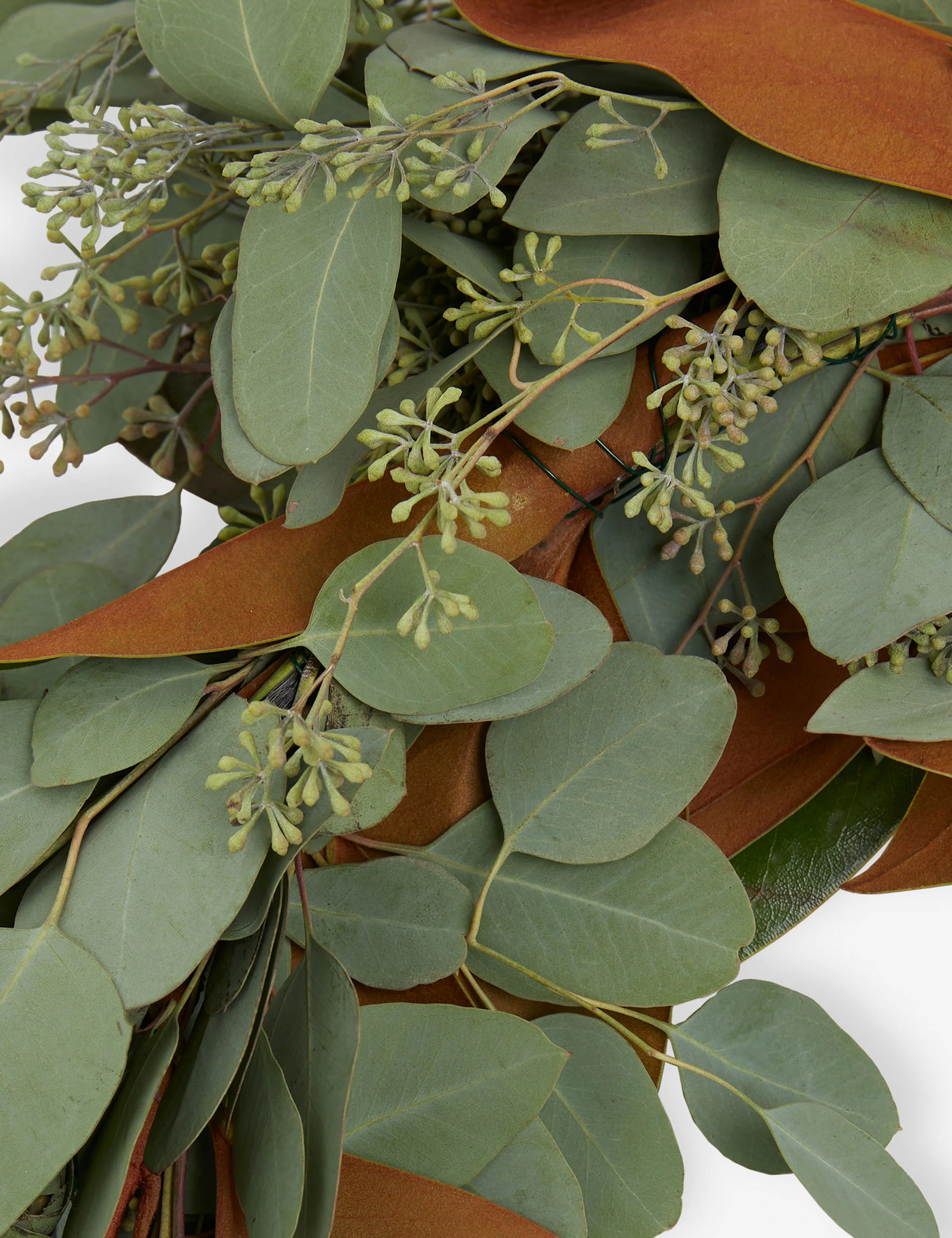 Fresh Handmade Magnolia and Seeded Eucalyptus Garland