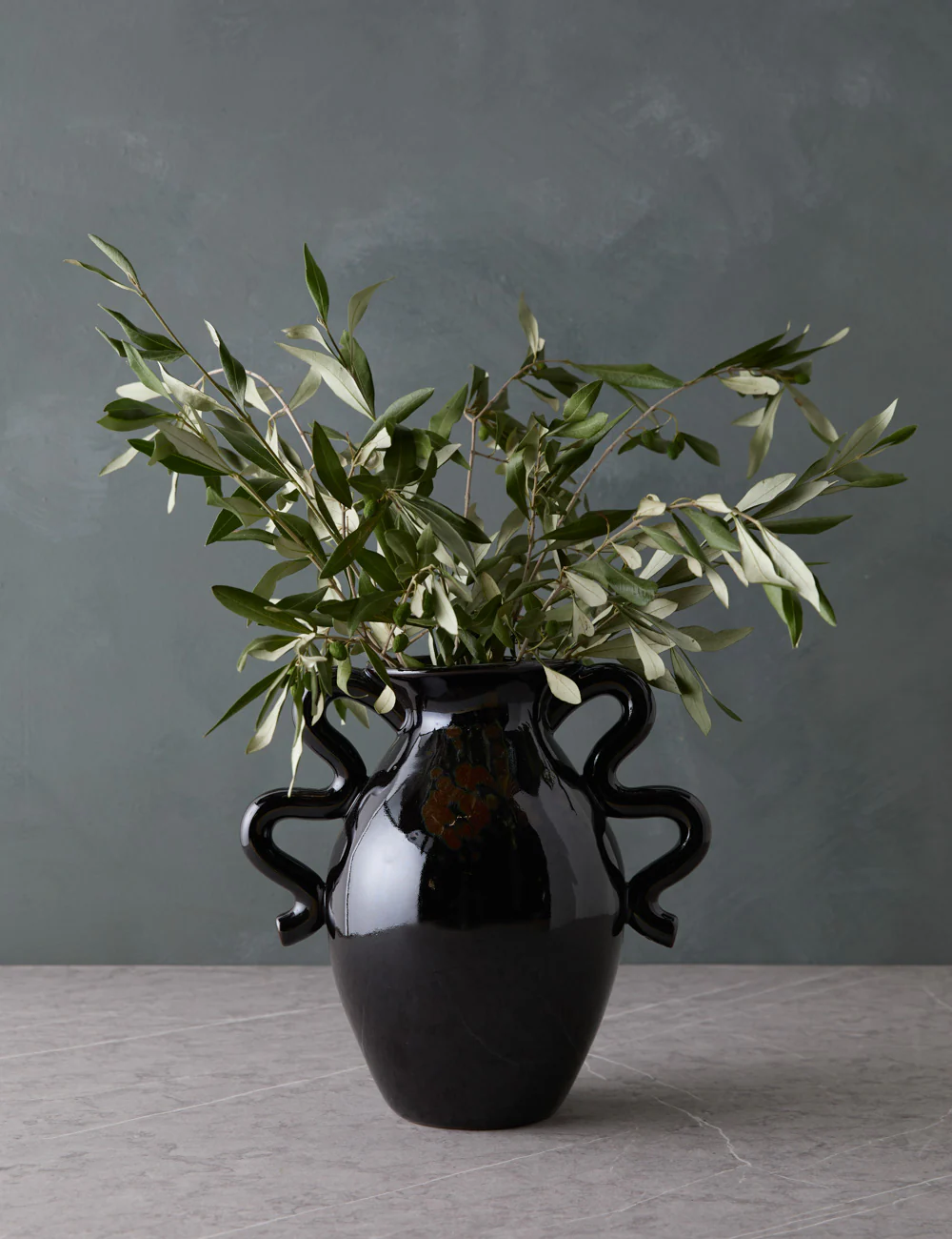 Live Olive Branch Bunch