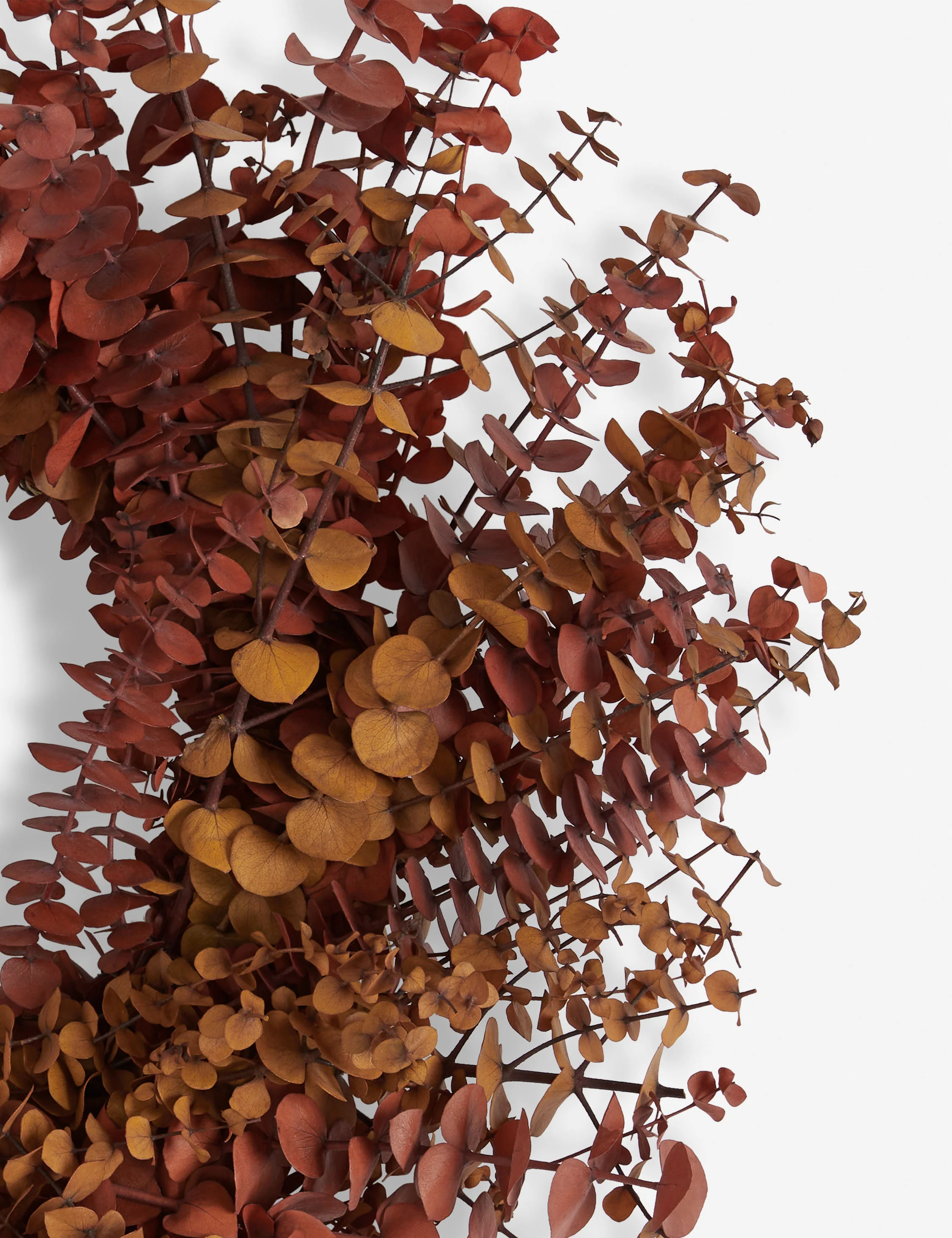 Mixed Eucalyptus Preserved Wreath