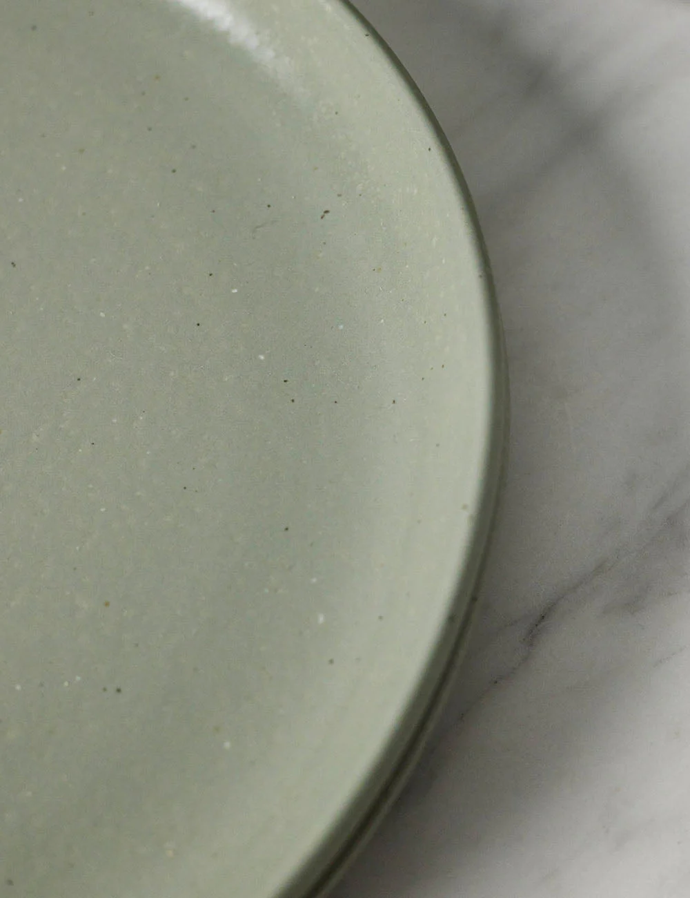 Pacifica Stoneware Dinnerware by Casafina