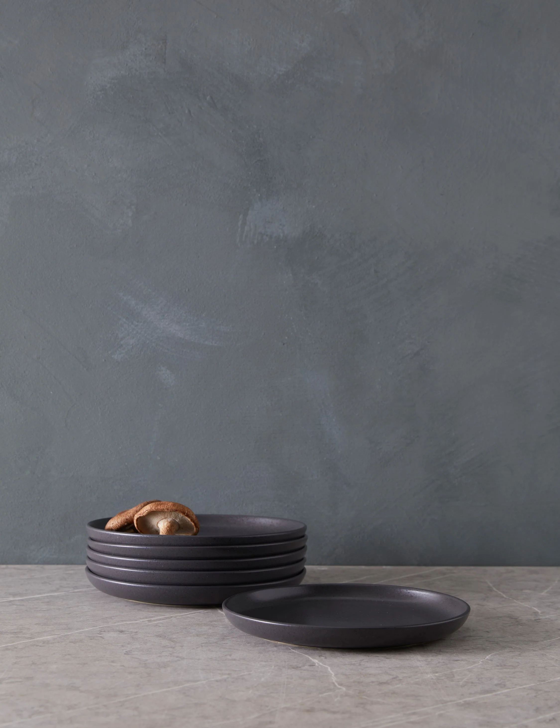 Pacifica Stoneware Dinnerware by Casafina