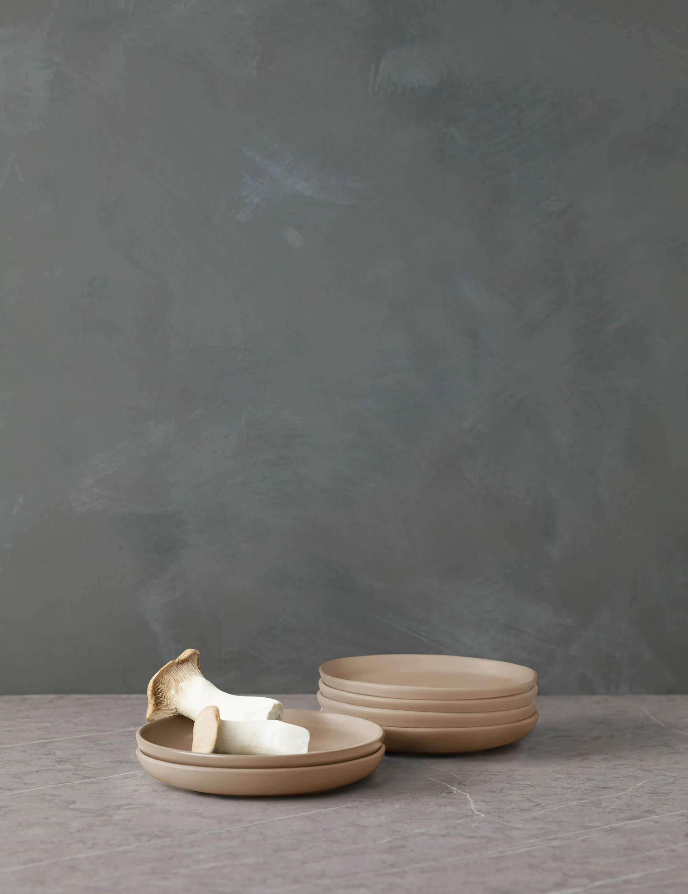 Pacifica Stoneware Dinnerware by Casafina