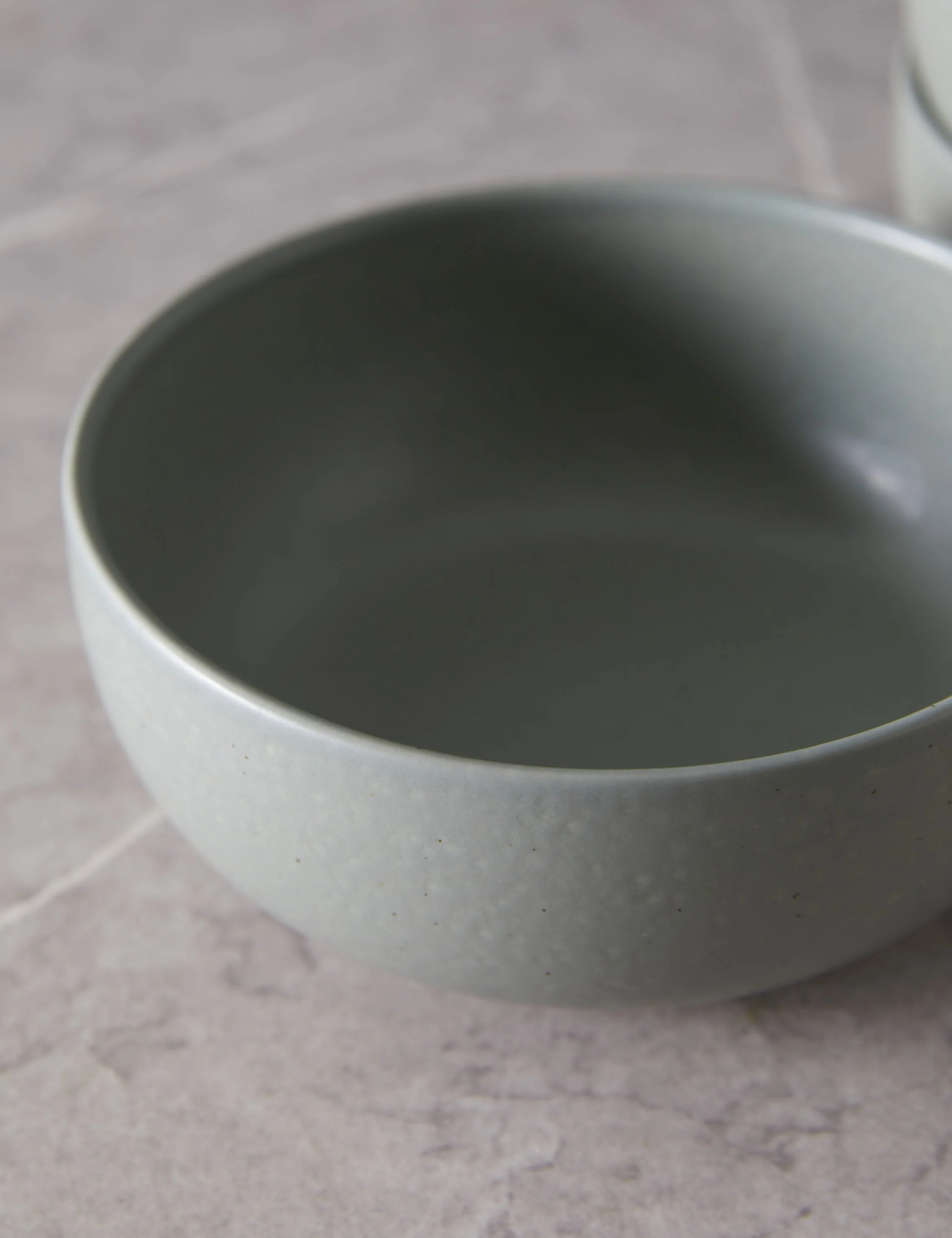 Pacifica Stoneware Dinnerware by Casafina