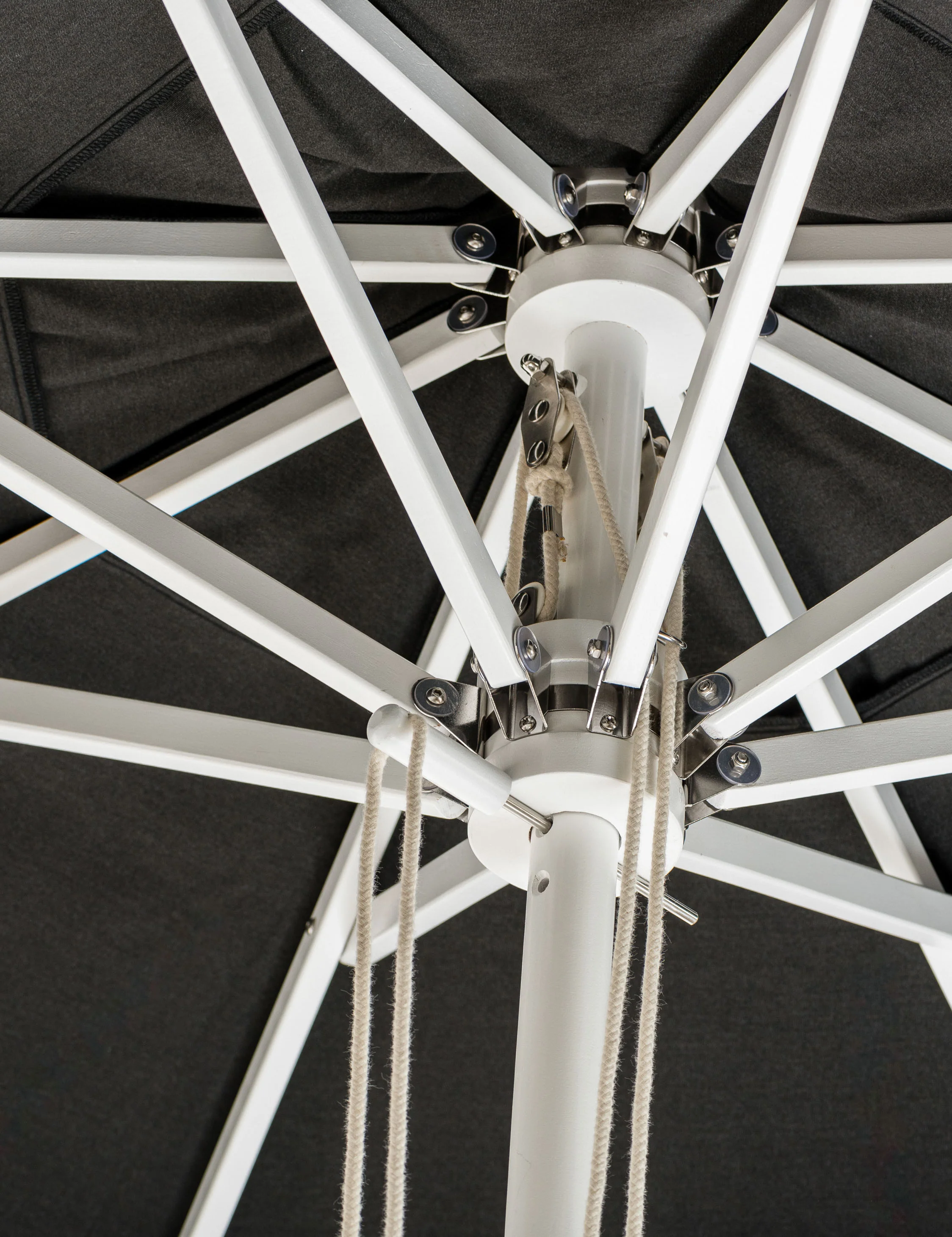 Market Umbrella by Business & Pleasure Co.