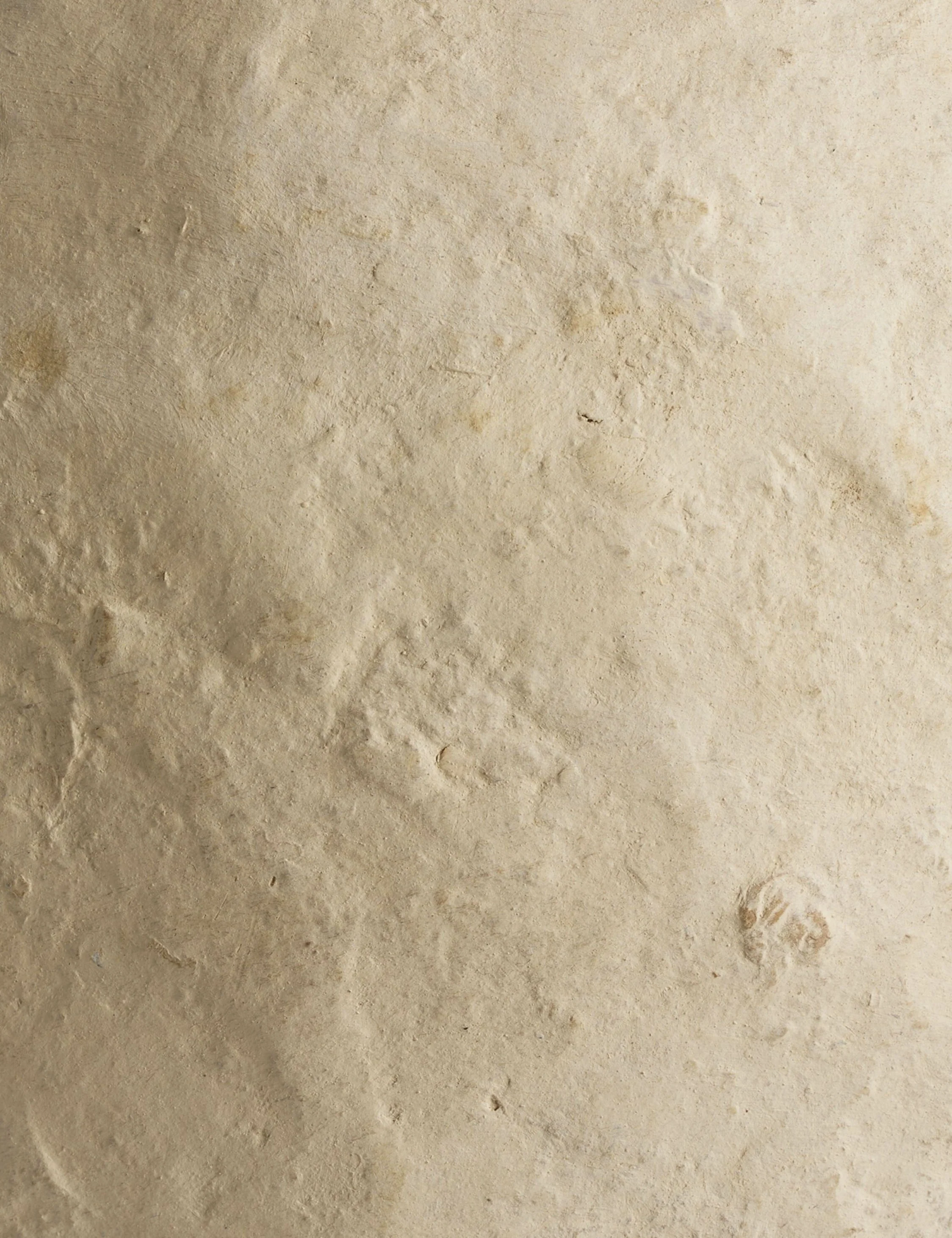 Olivos Paper Mache Decorative Vase by Amber Lewis x Four Hands