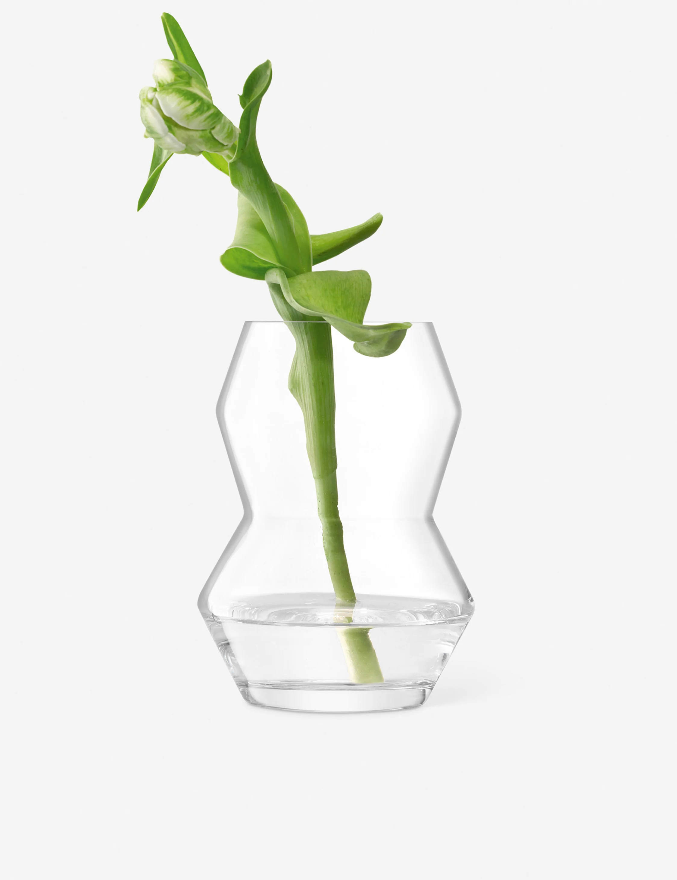 Sculpt Vase by LSA International