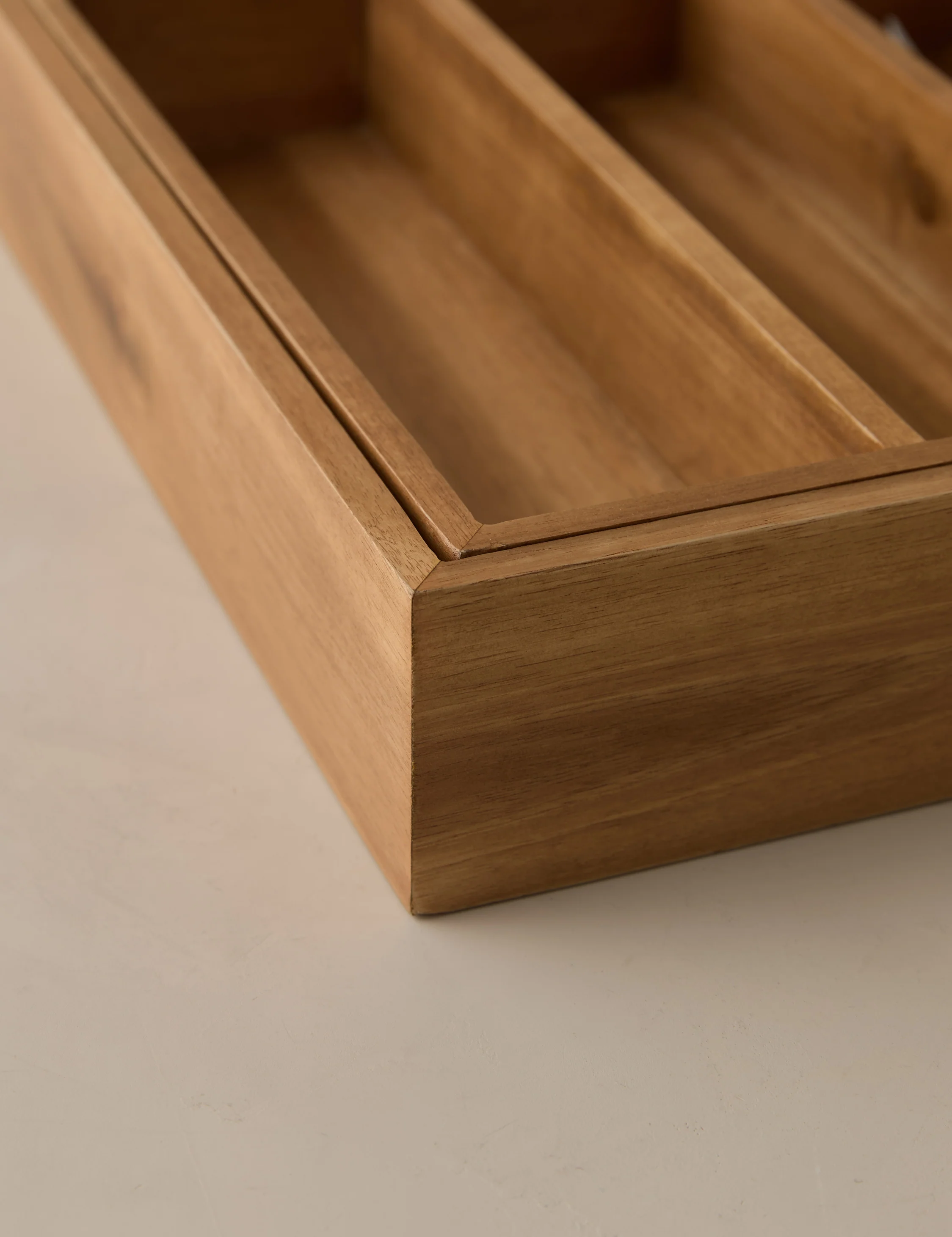 Lenz Expandable Cutlery Tray