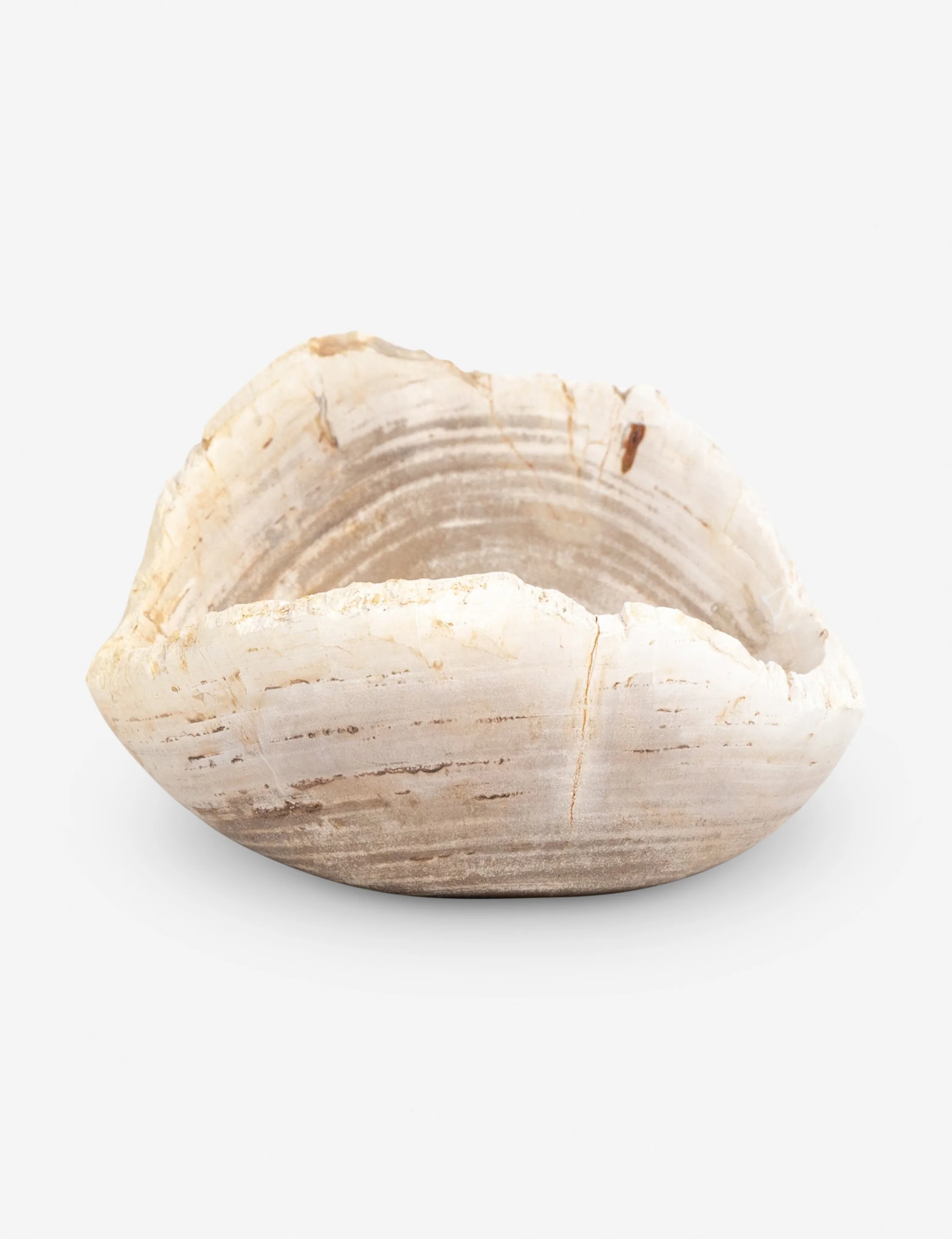 Noki Petrified Wood Bowl 3 Noki Petrified Wood Bowl