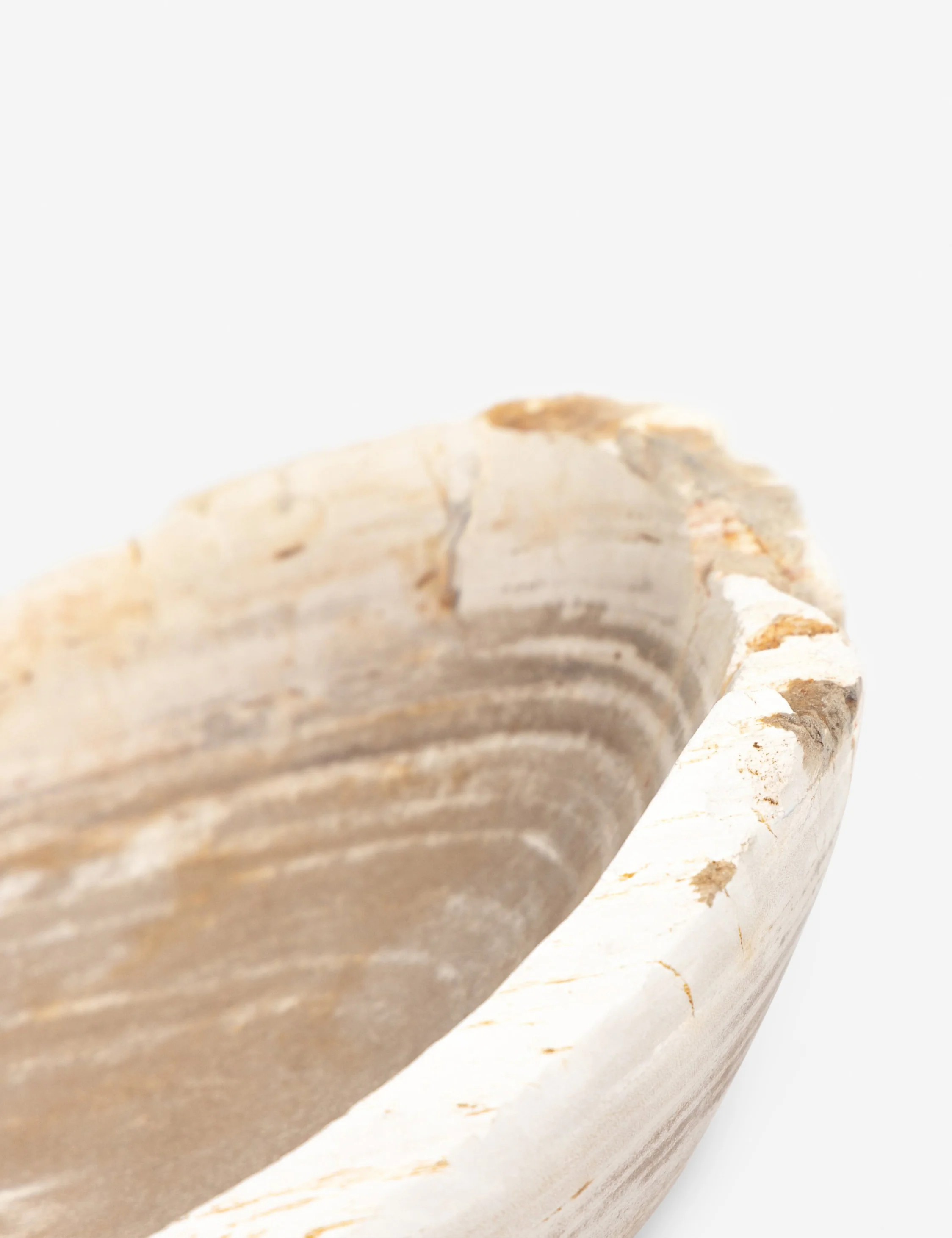 Noki Petrified Wood Bowl 4 Noki Petrified Wood Bowl