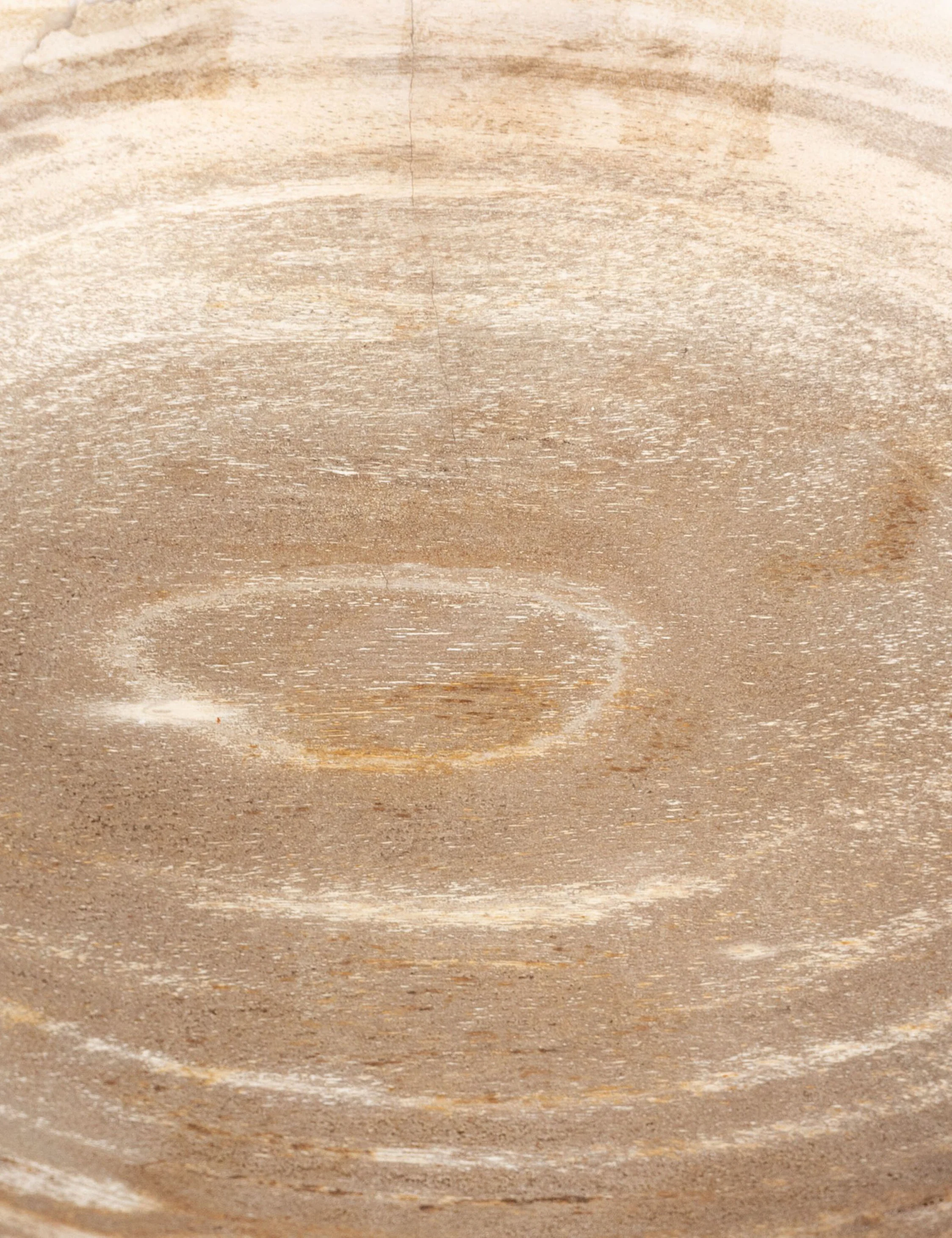 Noki Petrified Wood Bowl 5 Noki Petrified Wood Bowl