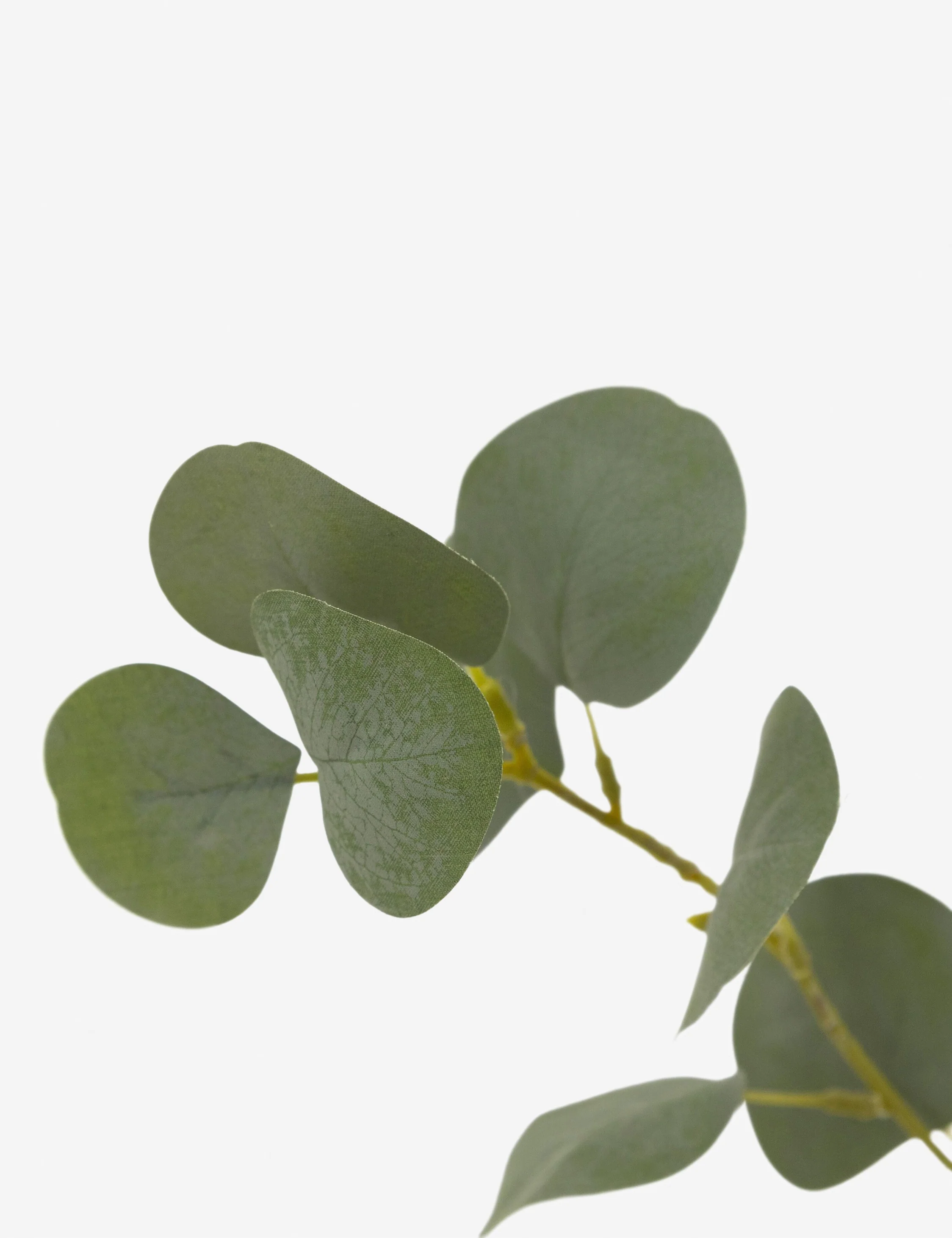 Faux Eucalyptus Tree