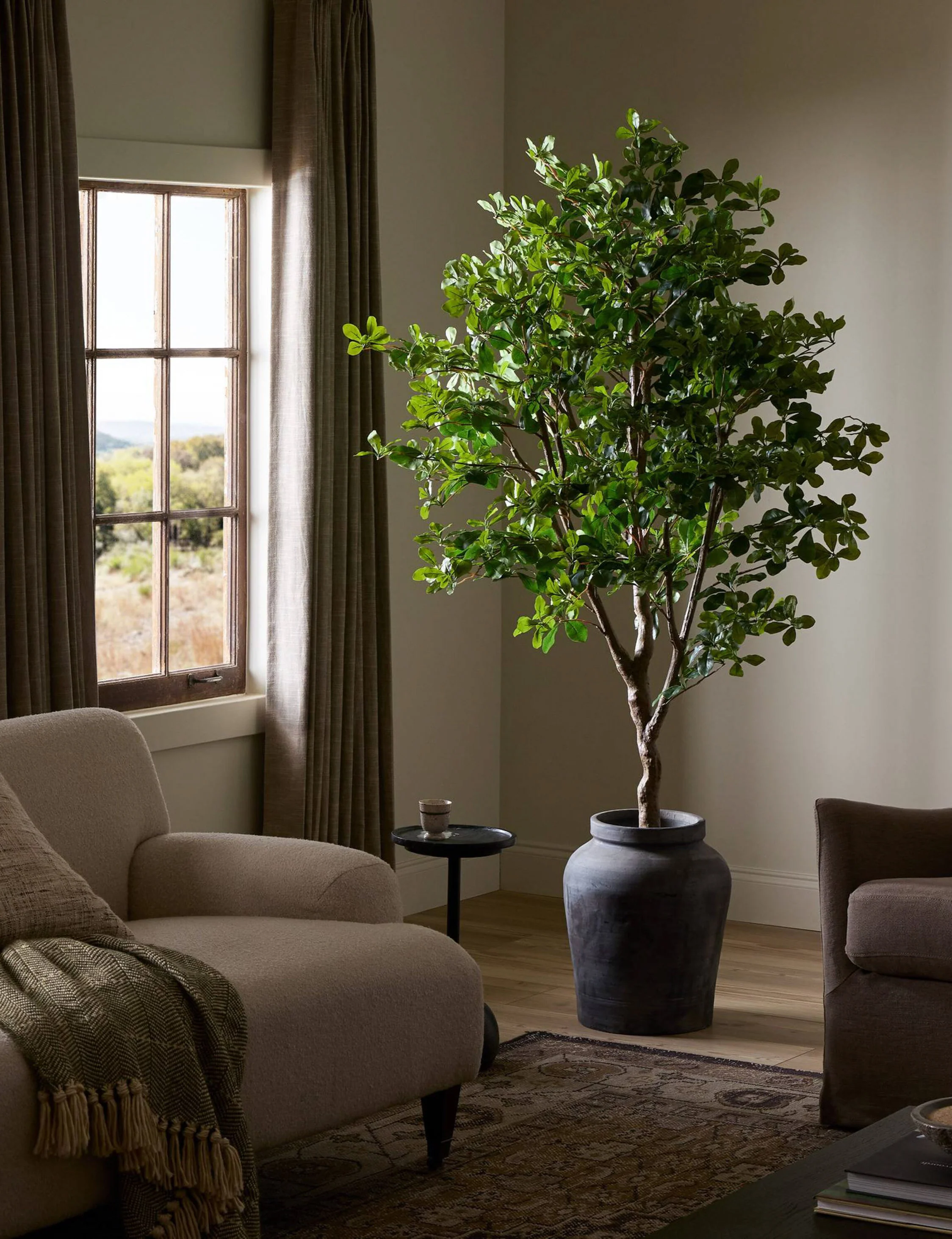 Faux Aralia Tree