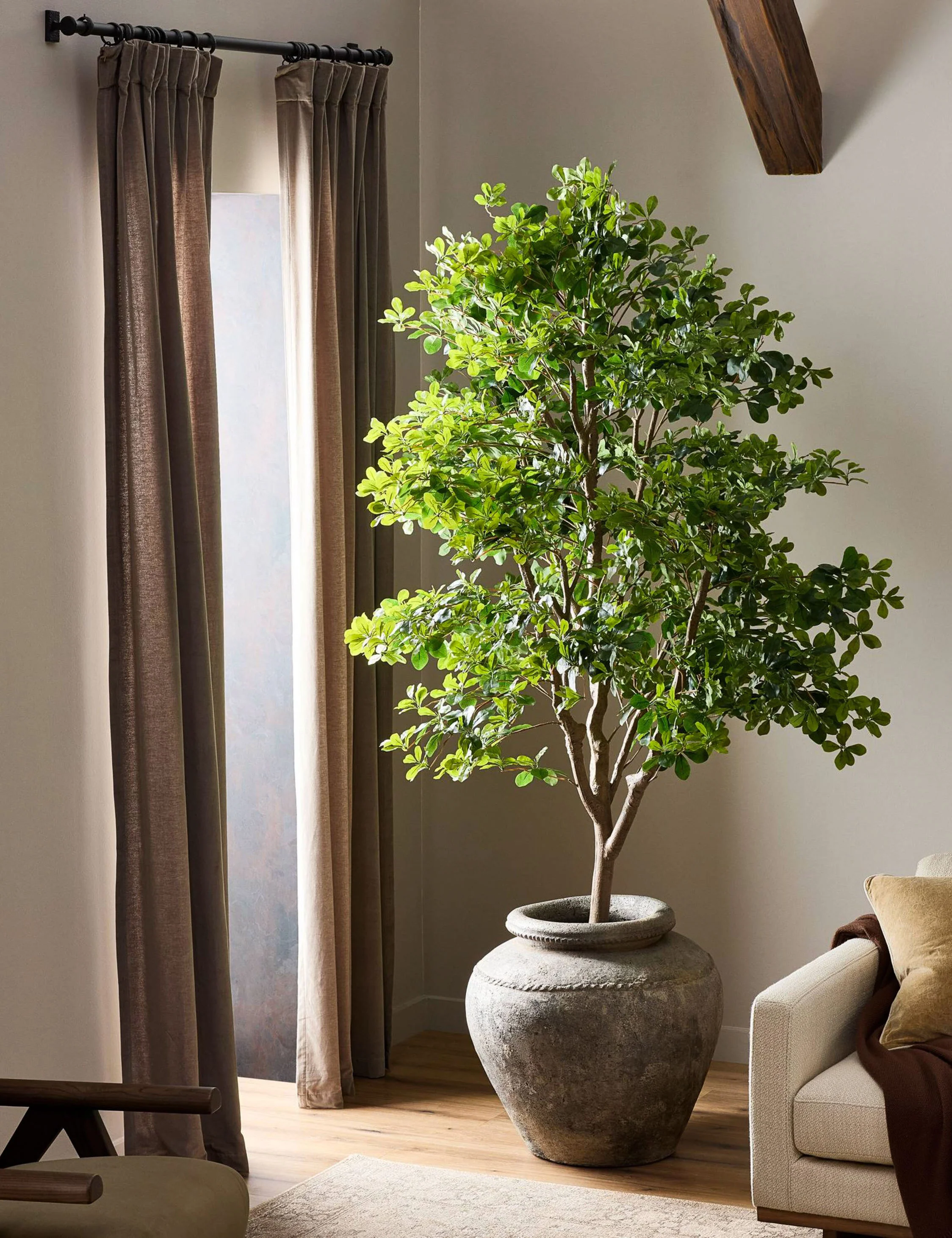 Faux Aralia Tree