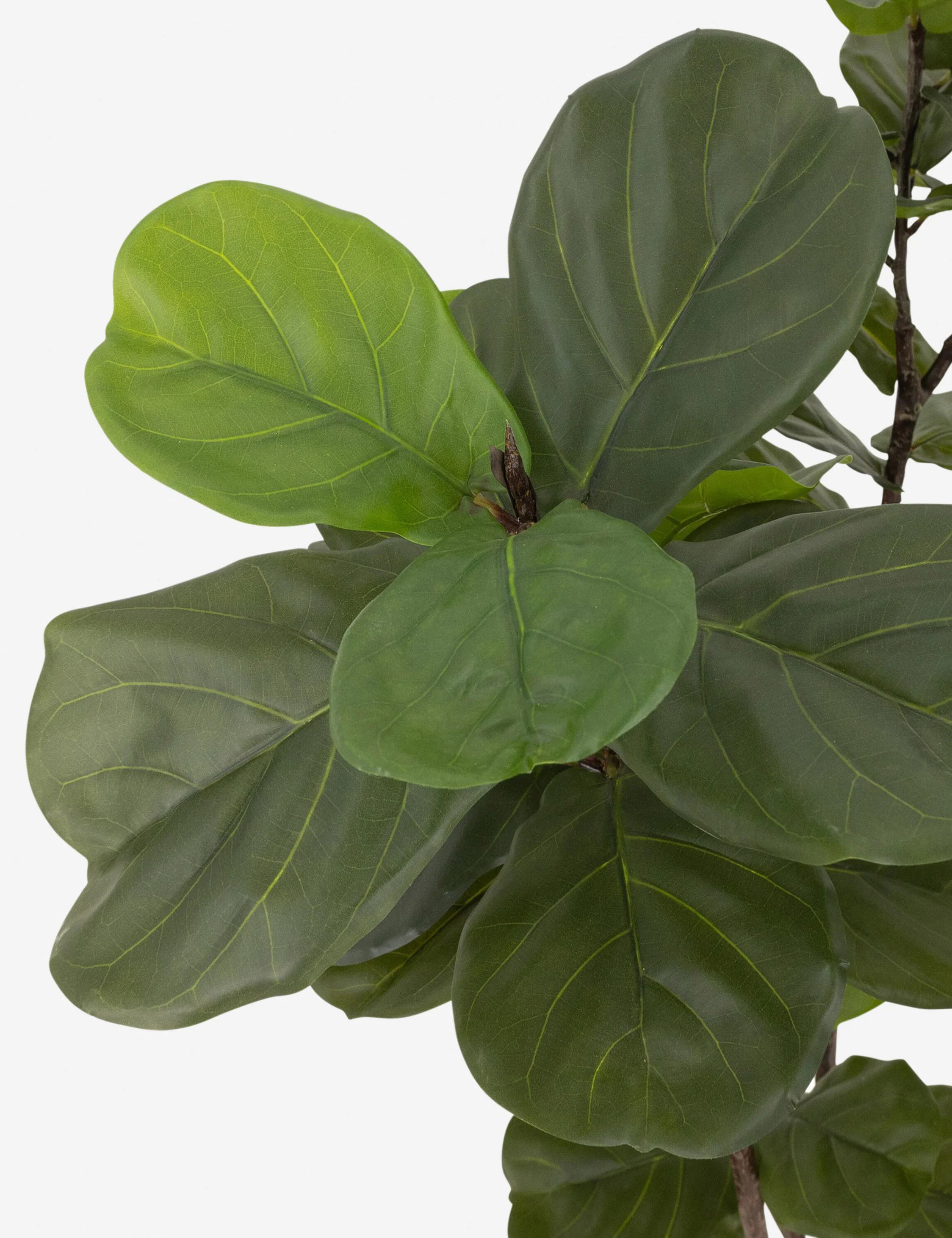 Faux Fiddle Leaf Tree