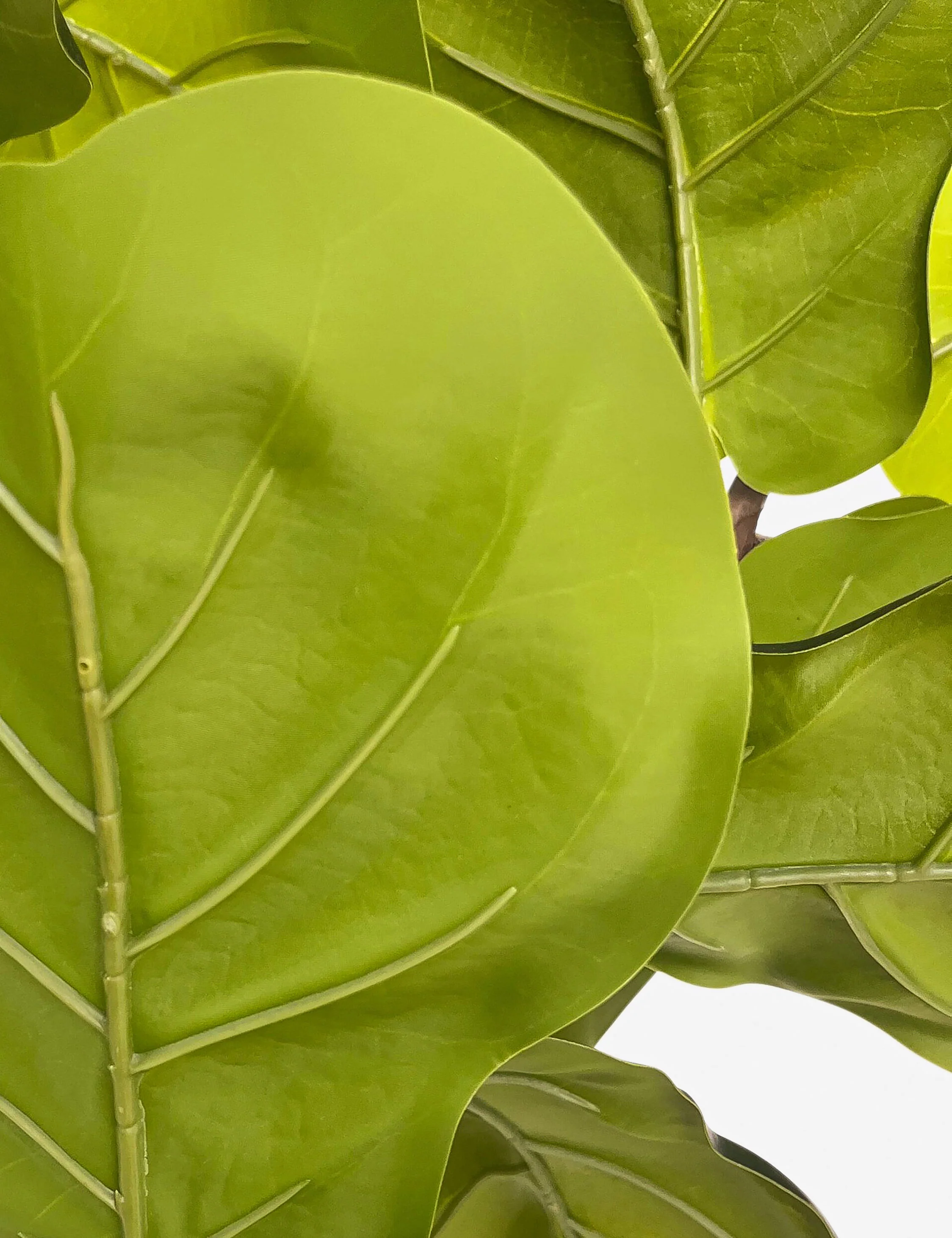 Faux Fiddle Leaf Tree