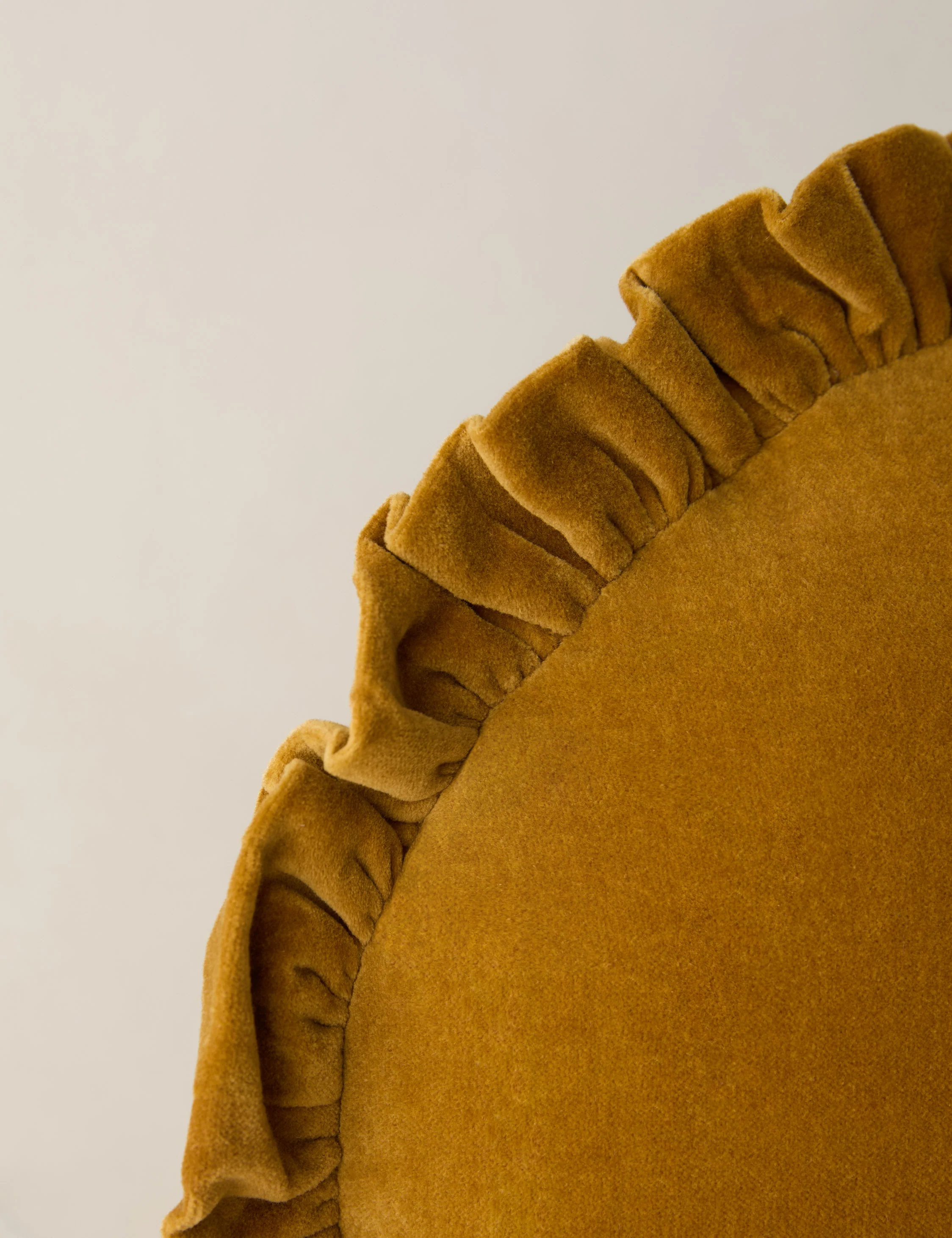 Mauree Velvet Round Pillow