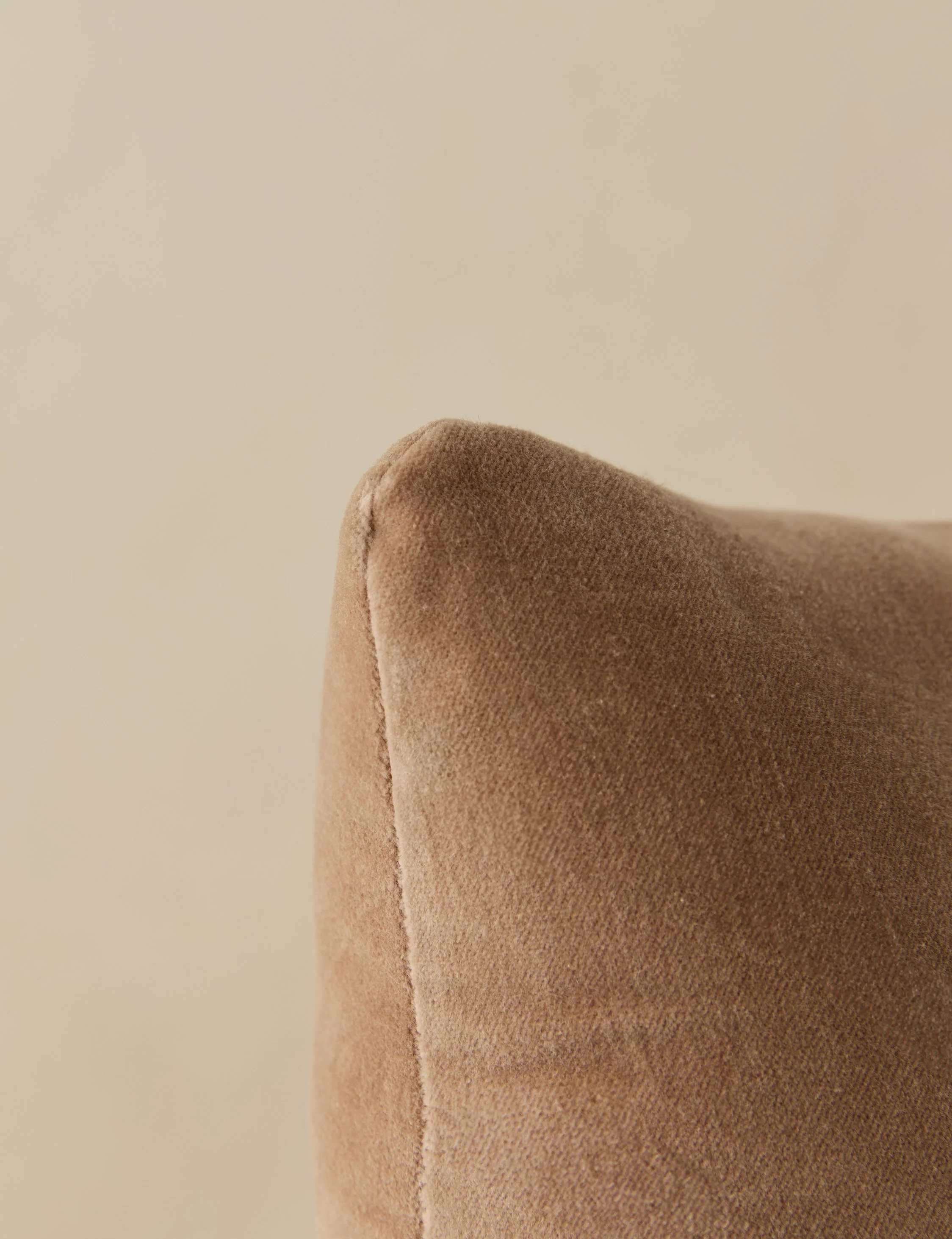 Monroe Velvet Pillow