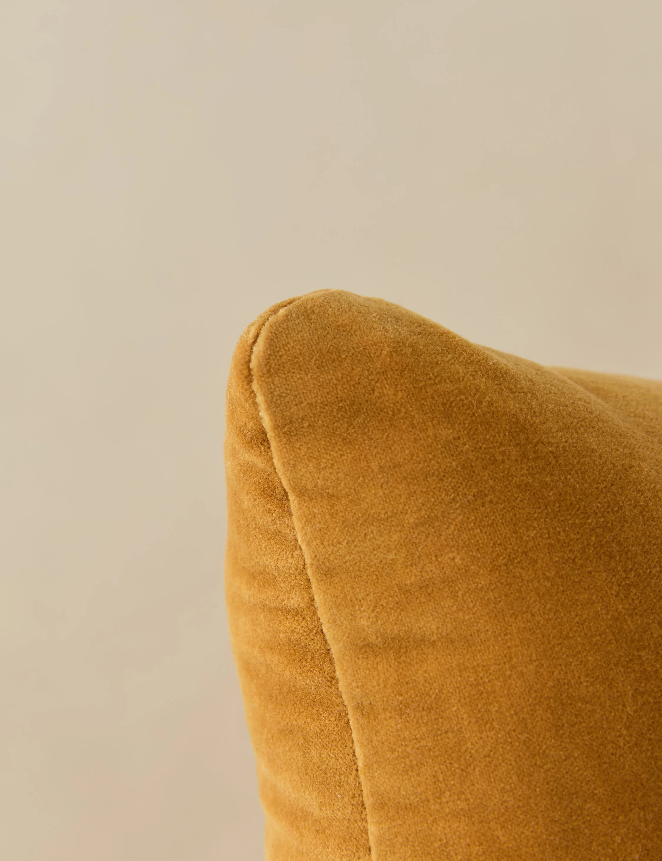 Monroe Velvet Pillow