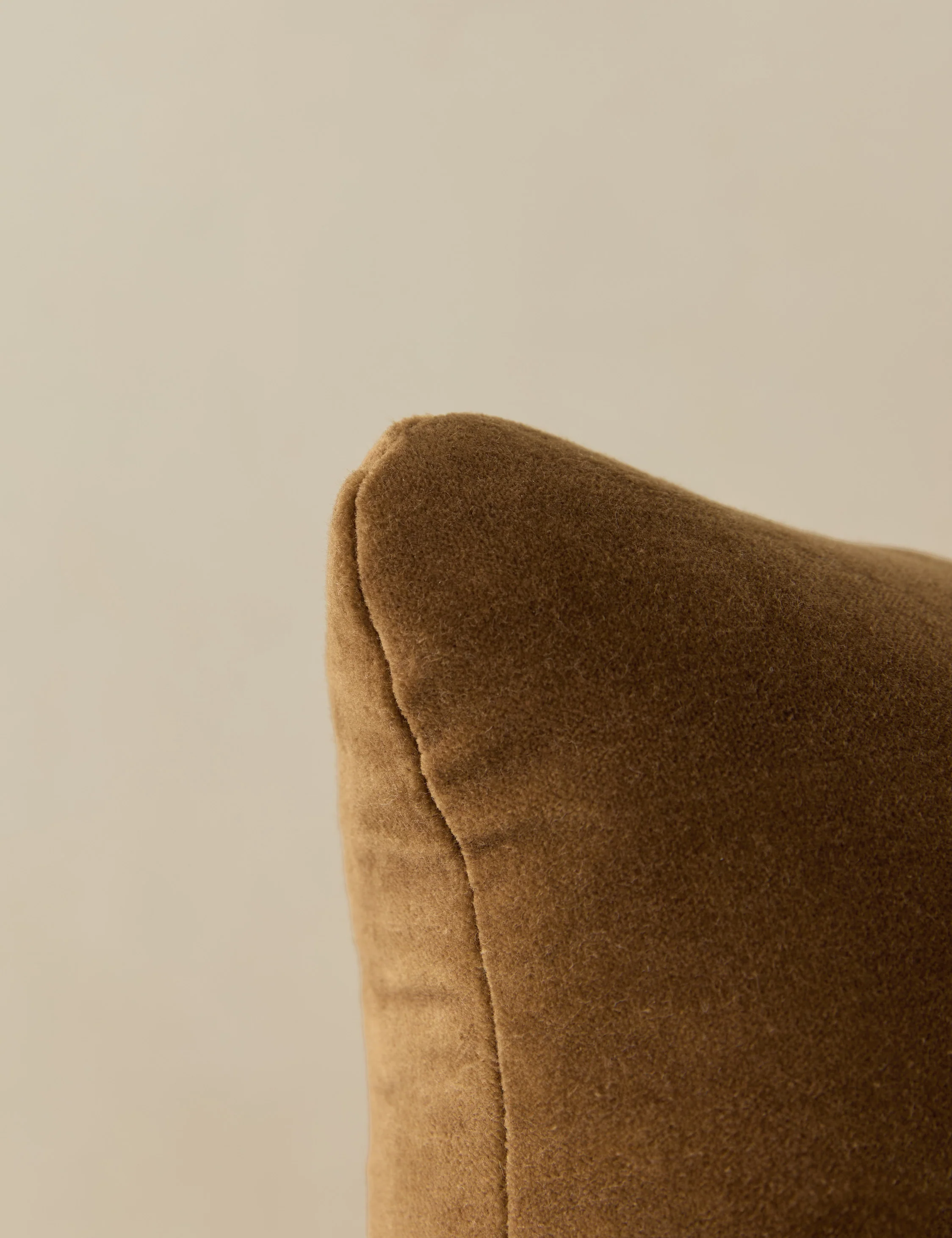 Monroe Velvet Pillow