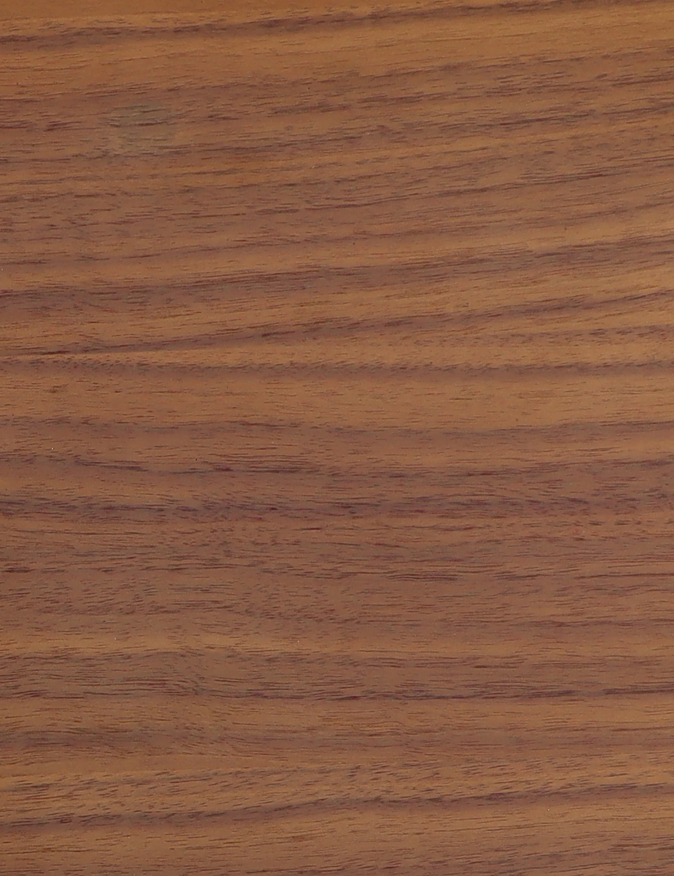 Anya Dining Chair (Set of 2)