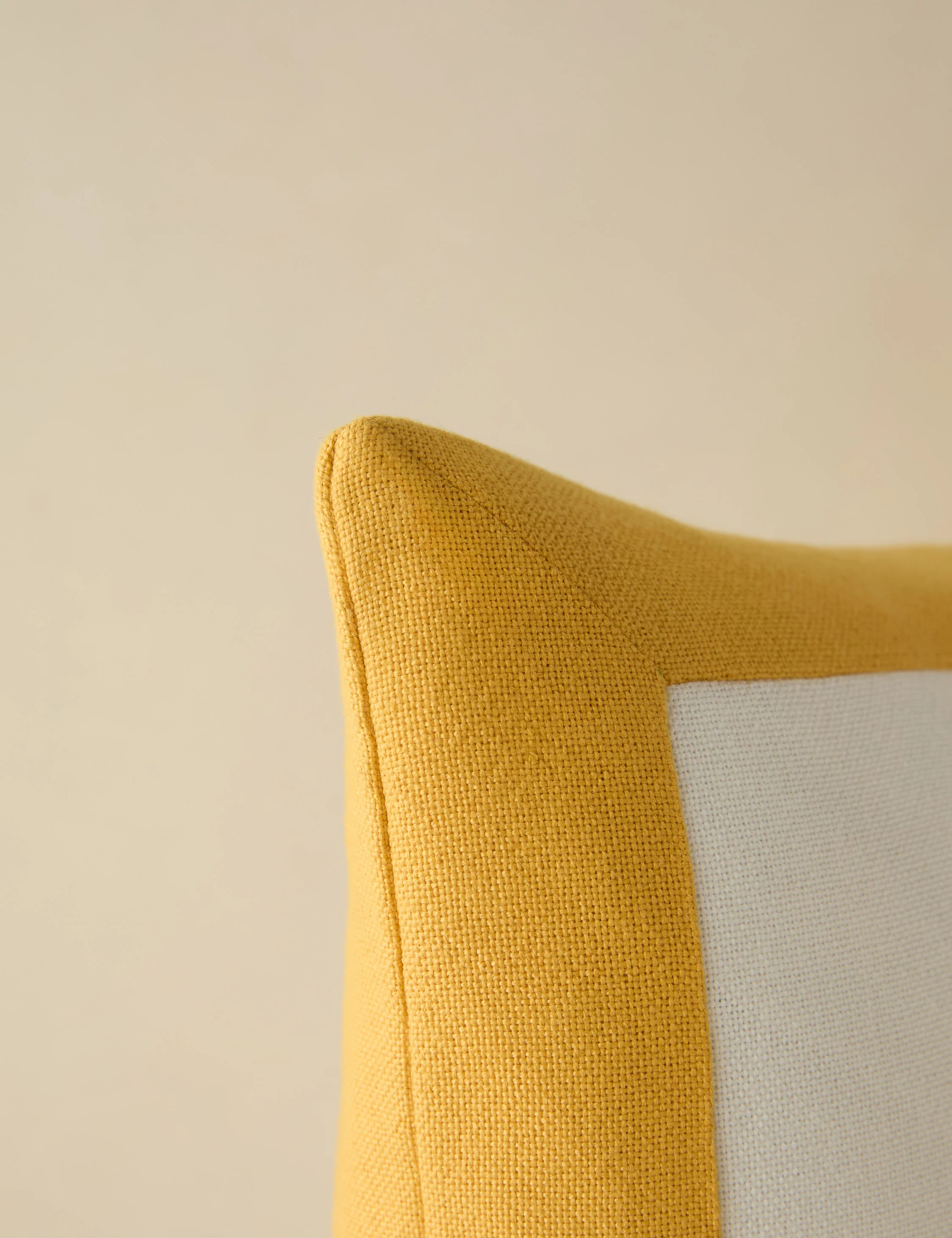 Amica Indoor / Outdoor Pillow