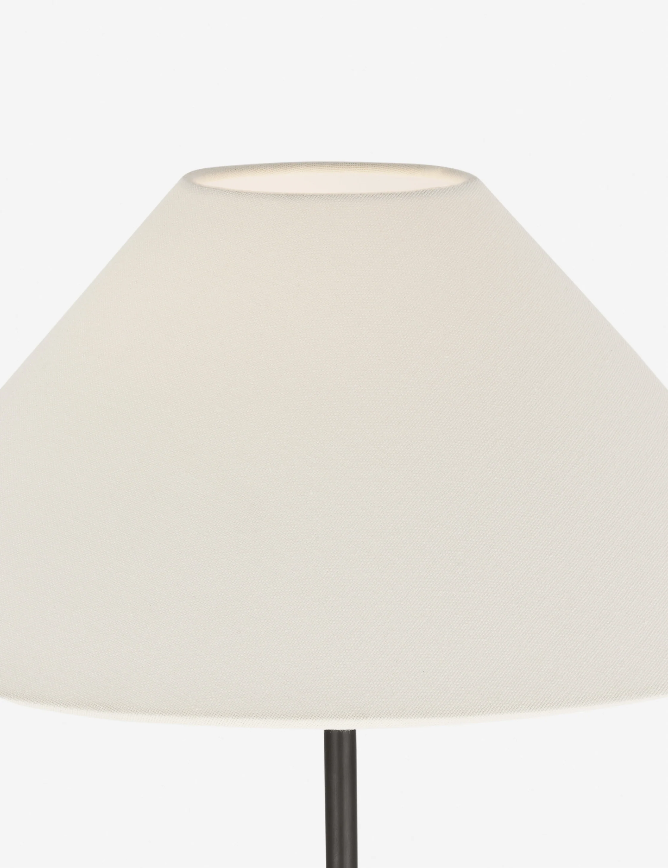 Nielsen Cordless Floor Lamp