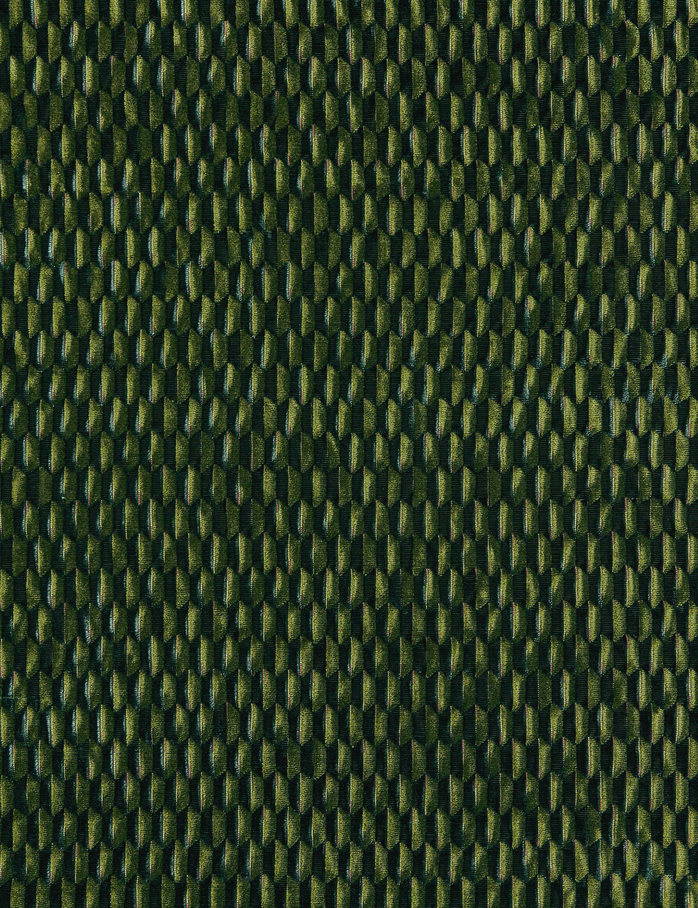 Allegra Velvet Fabric by Scalamandre