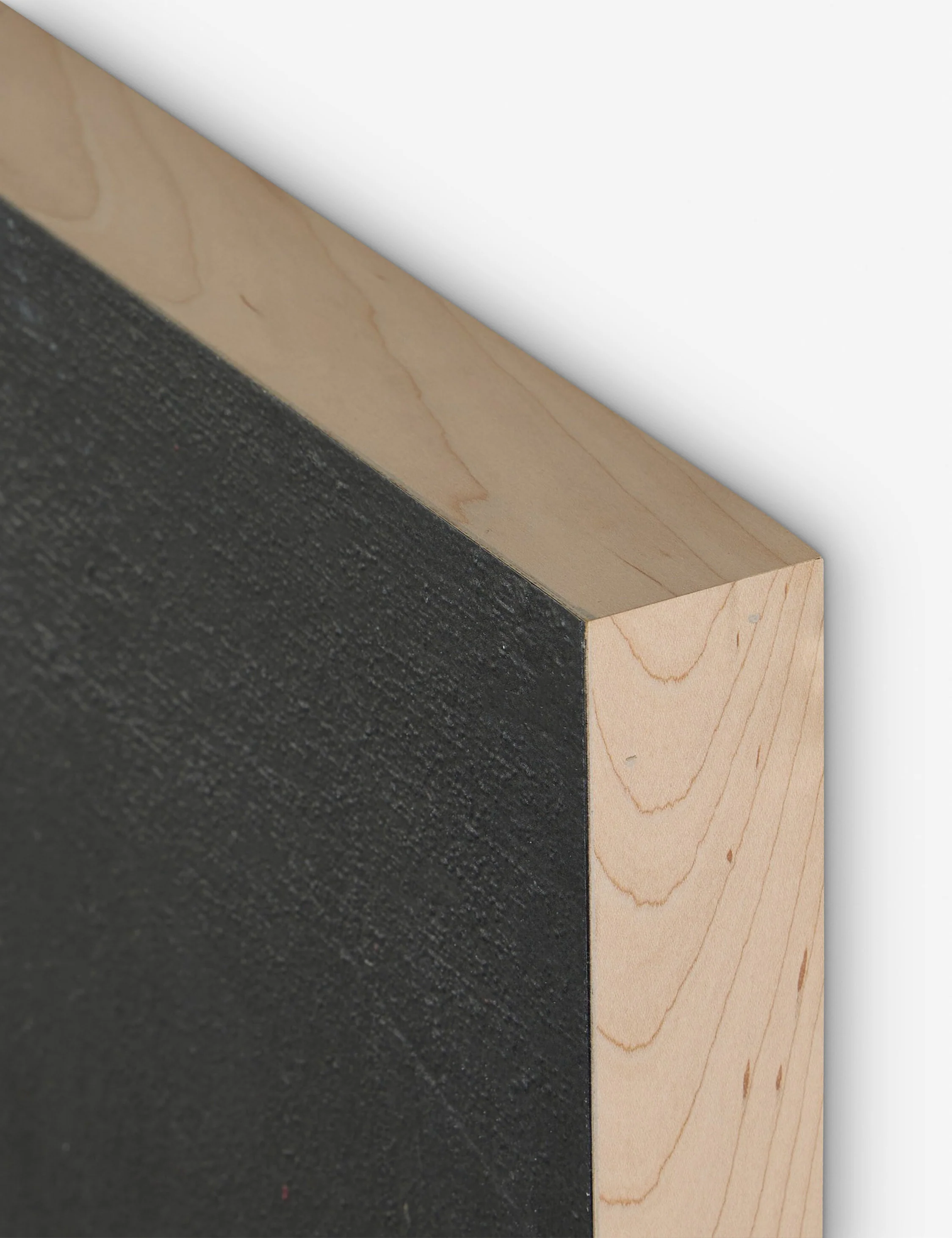 Burro Noche Wall Art by Paul Meyer