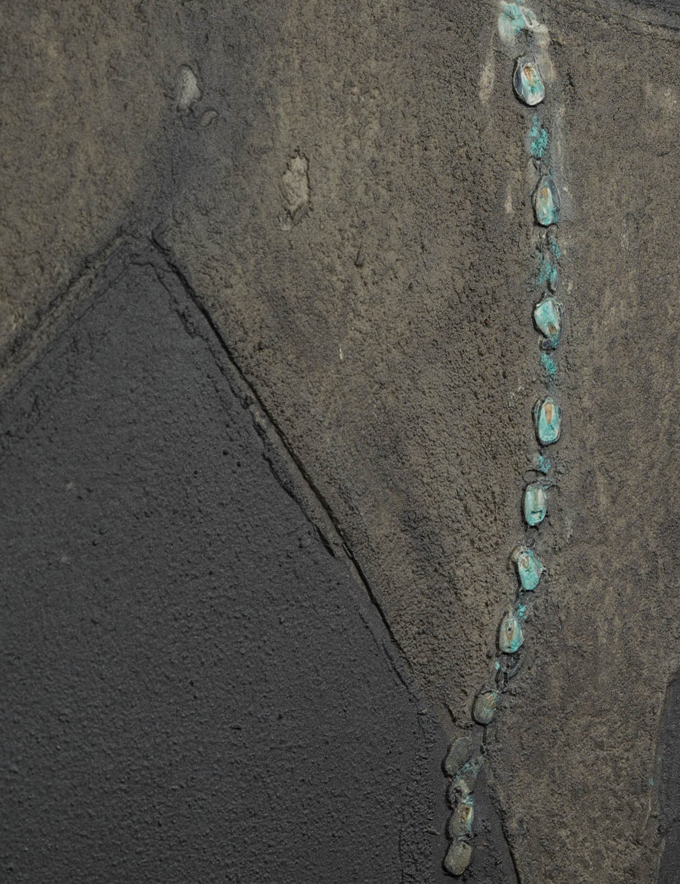 Burro Noche Wall Art by Paul Meyer