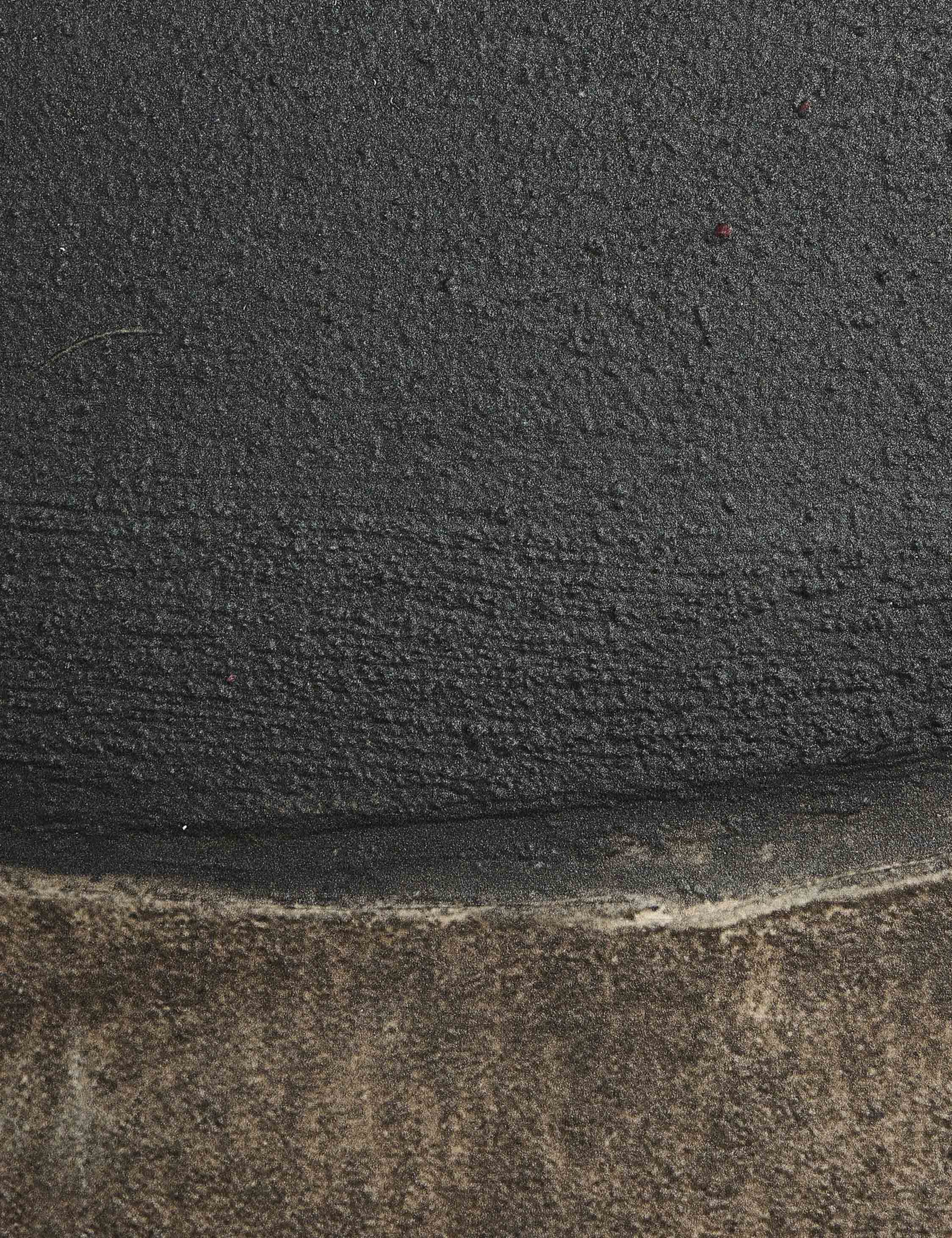 Burro Noche Wall Art by Paul Meyer