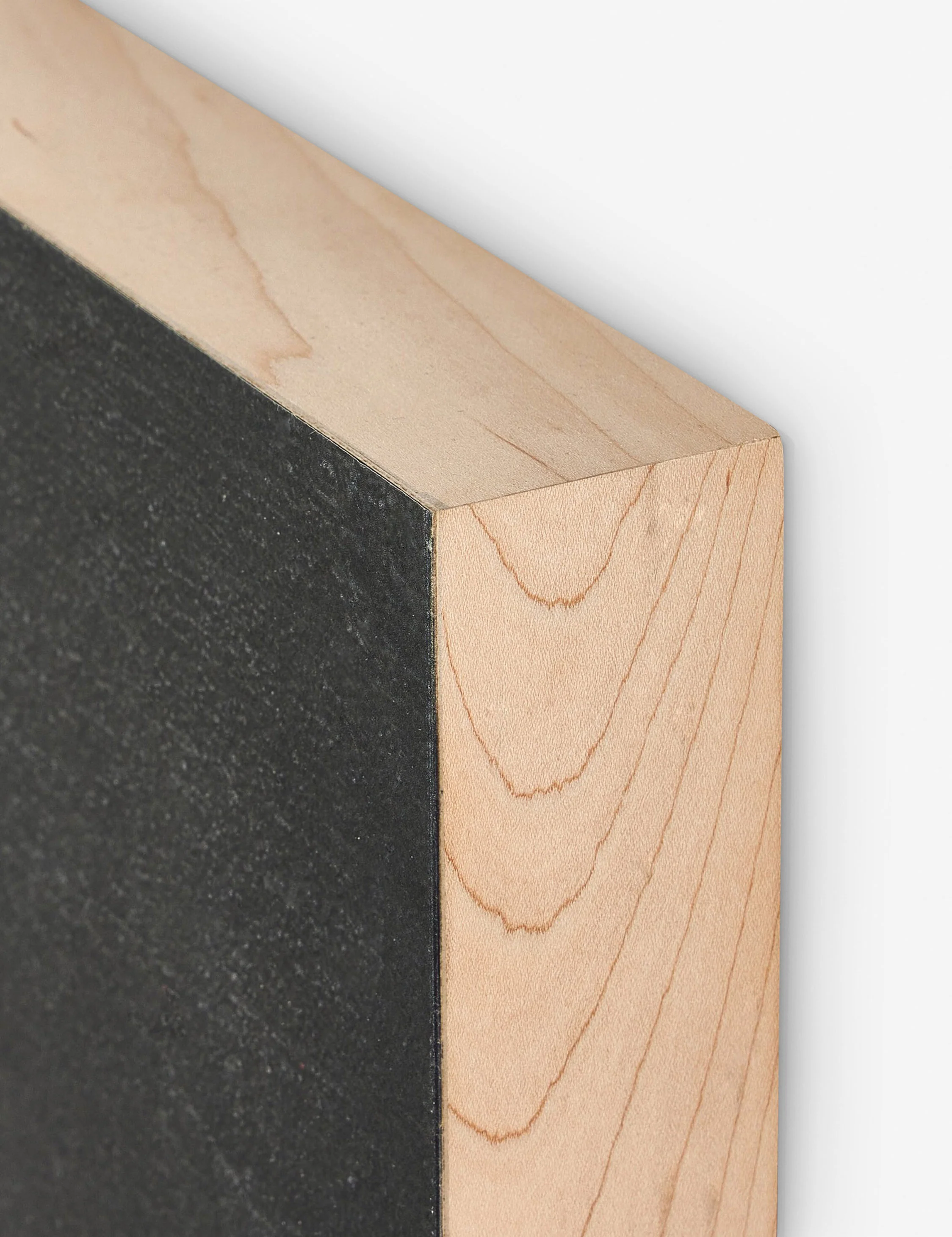 Burro Noche Wall Art by Paul Meyer