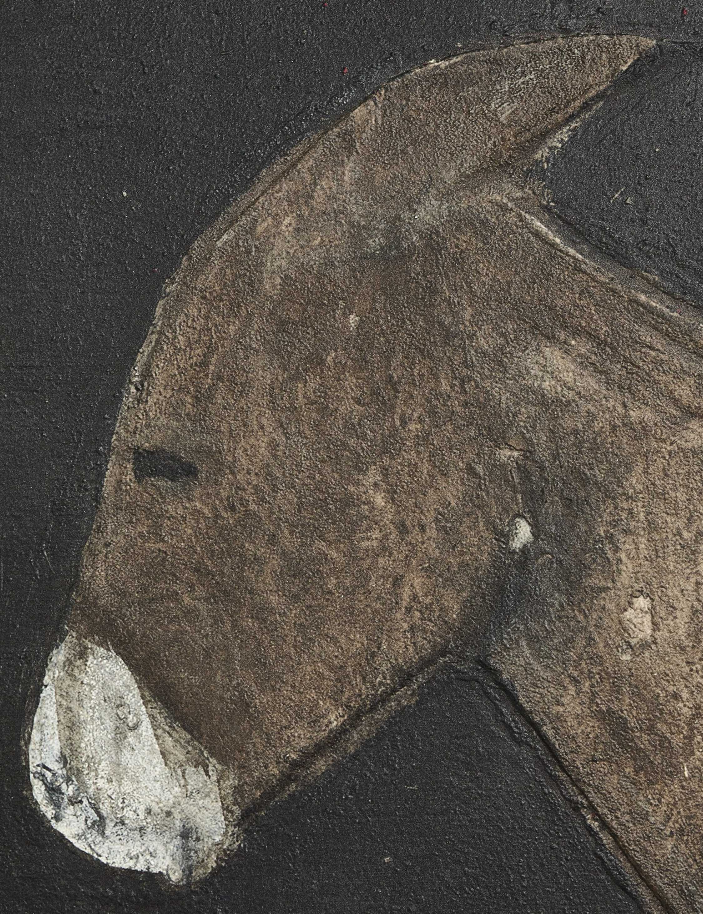 Burro Noche Wall Art by Paul Meyer