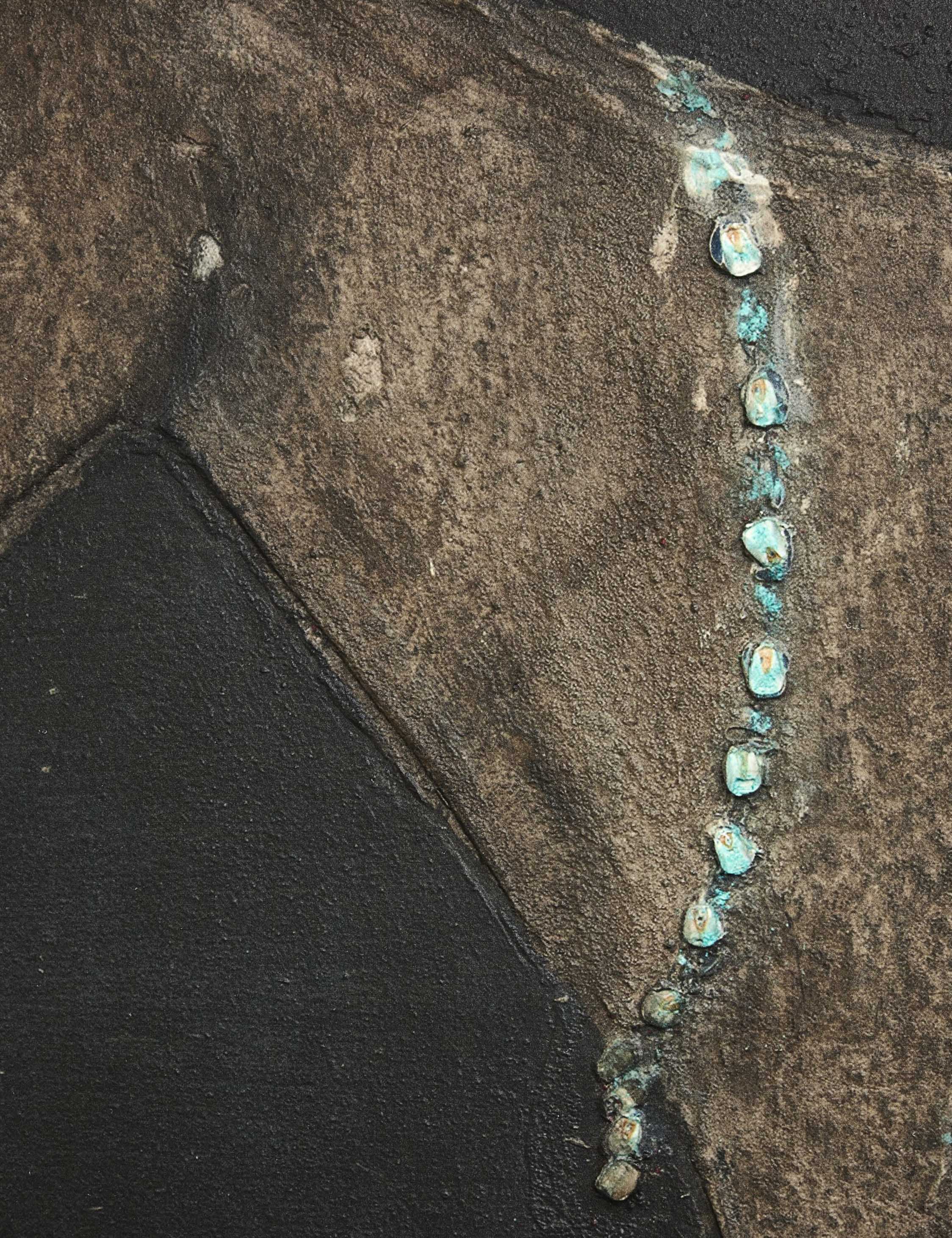 Burro Noche Wall Art by Paul Meyer