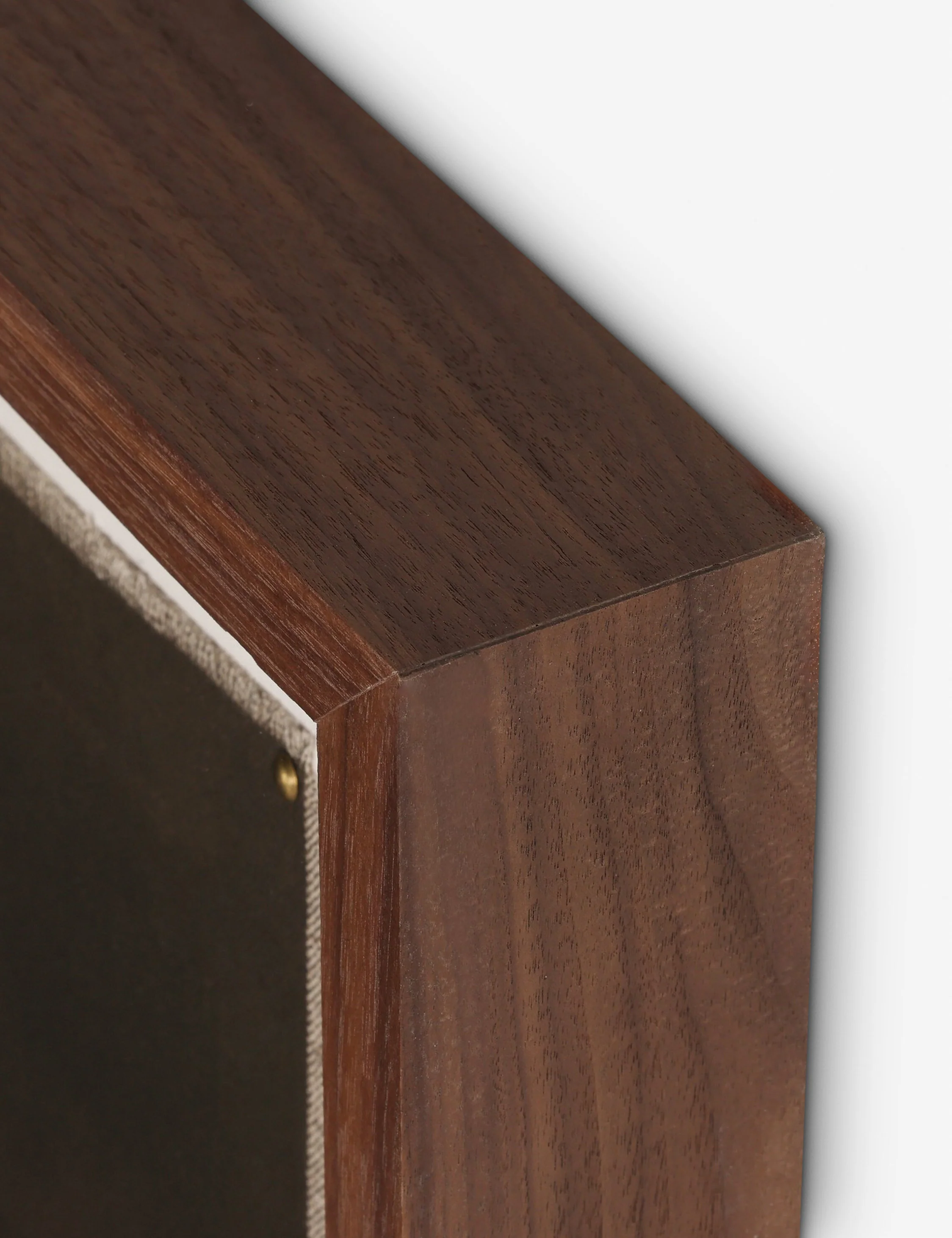 Bloom II Wall Art by Brittney Schulz