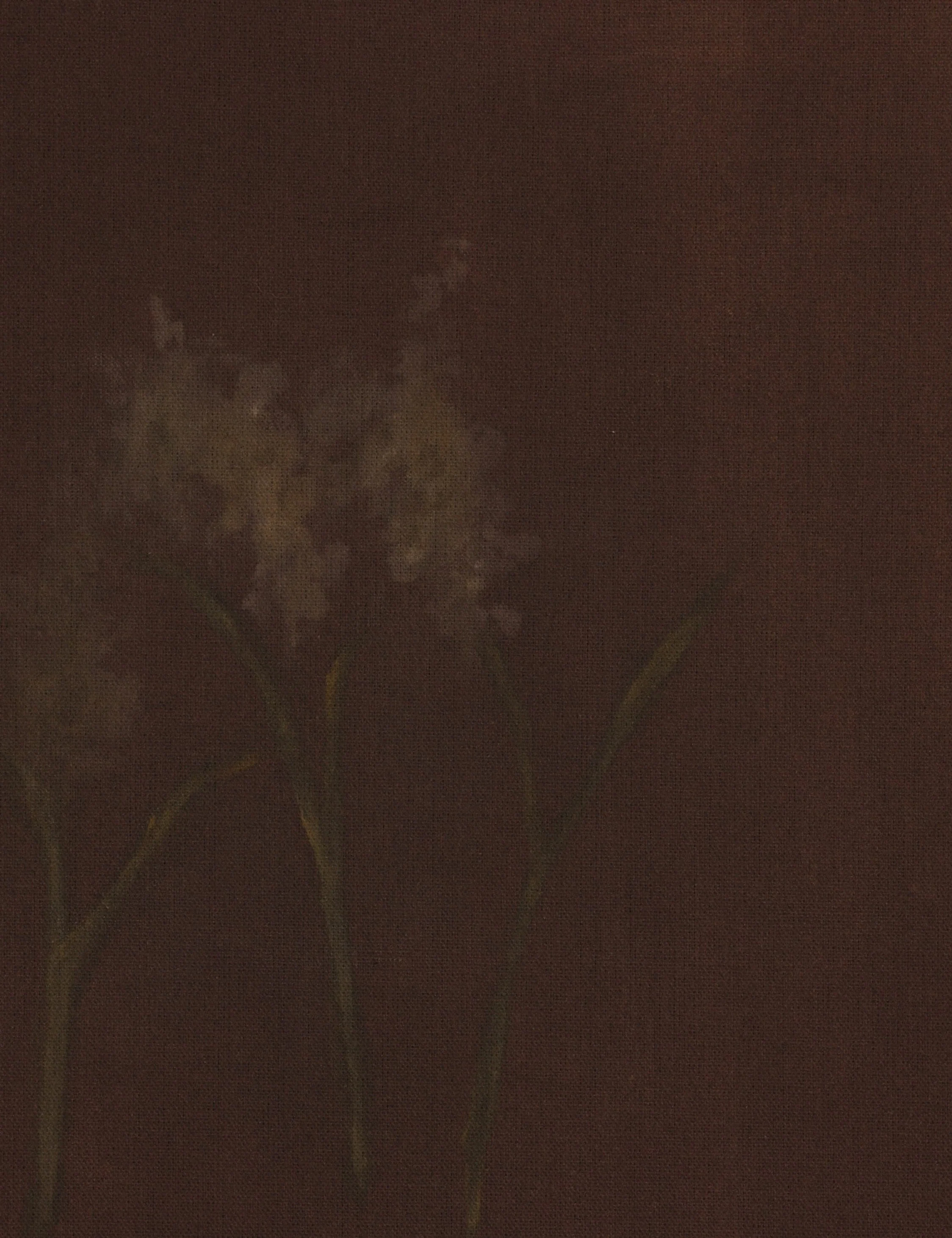 Bloom III Wall Art by Brittney Schulz