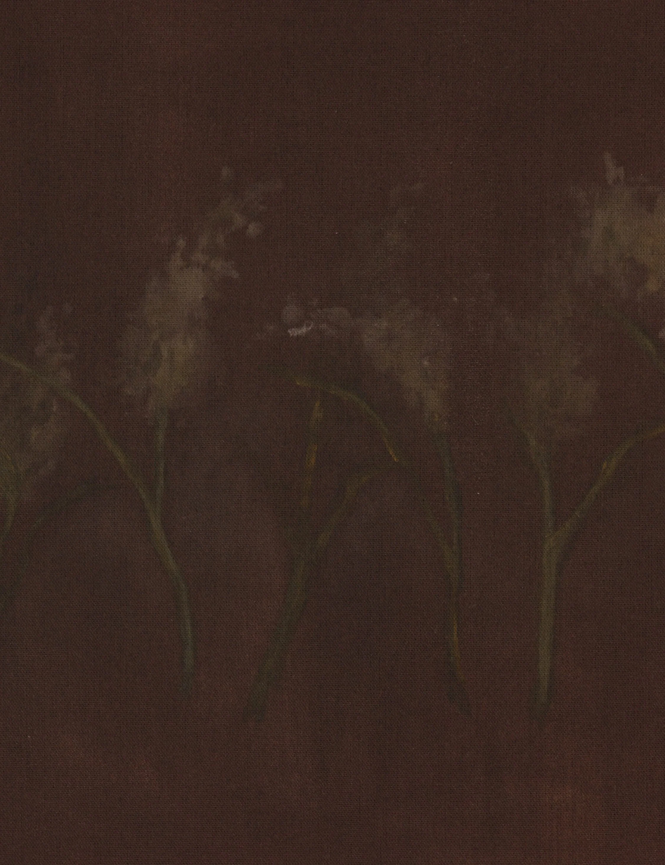 Bloom III Wall Art by Brittney Schulz